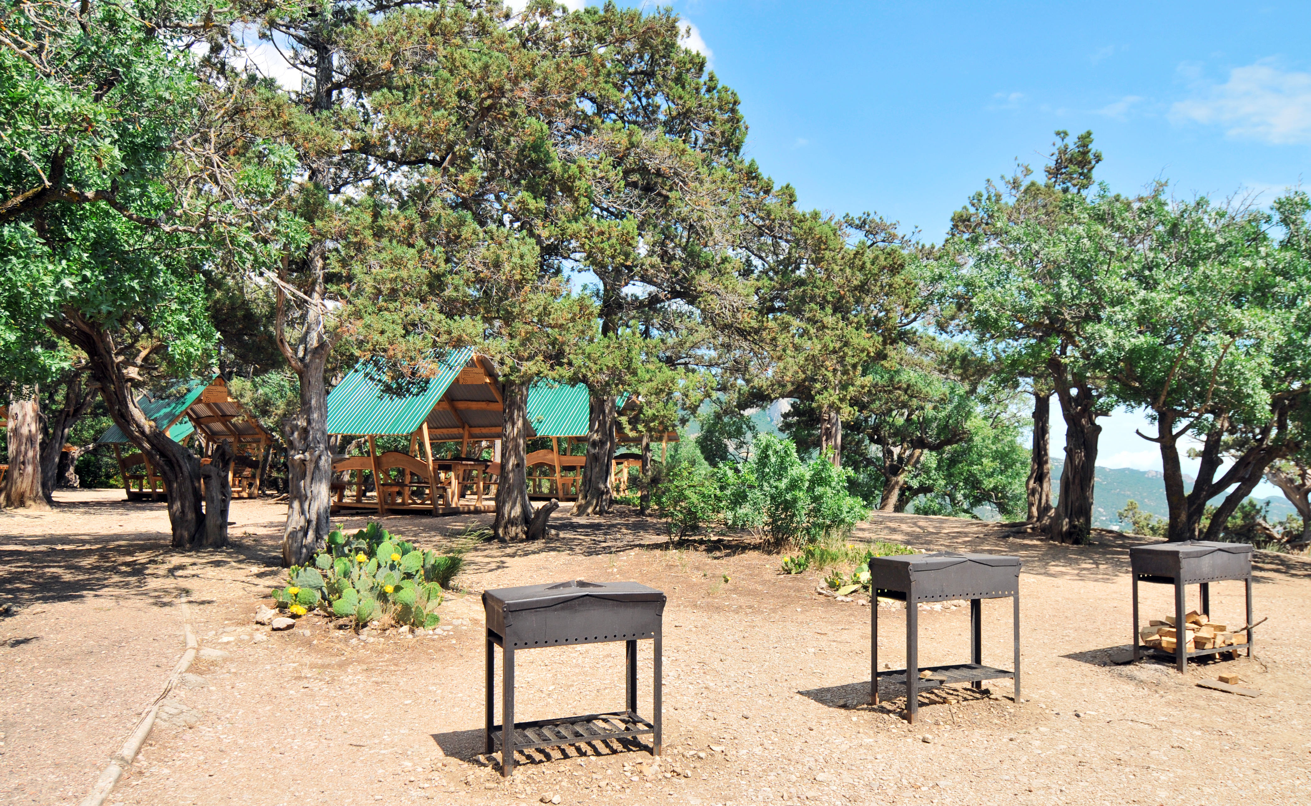 Декоративное изображение