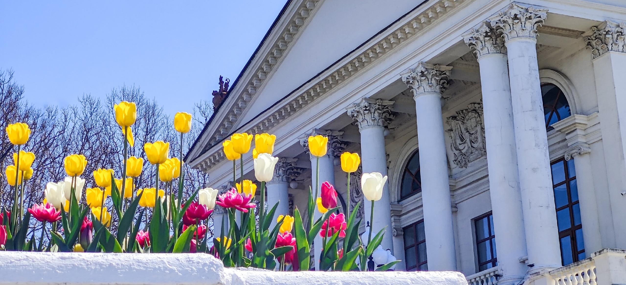 Декоративное изображение