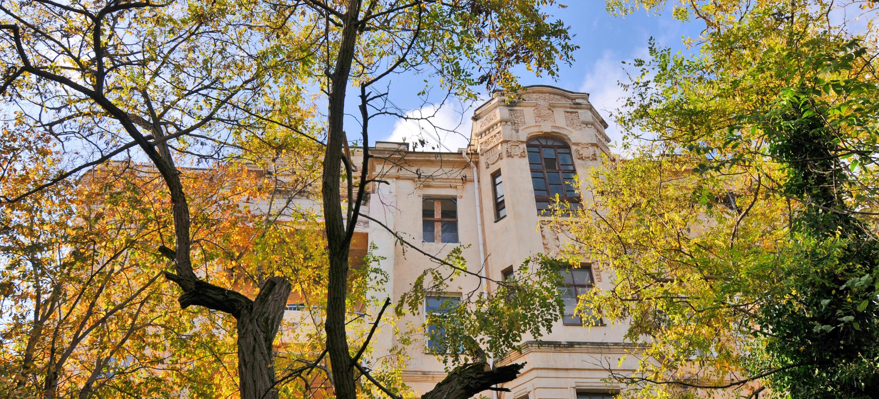 Декоративное изображение