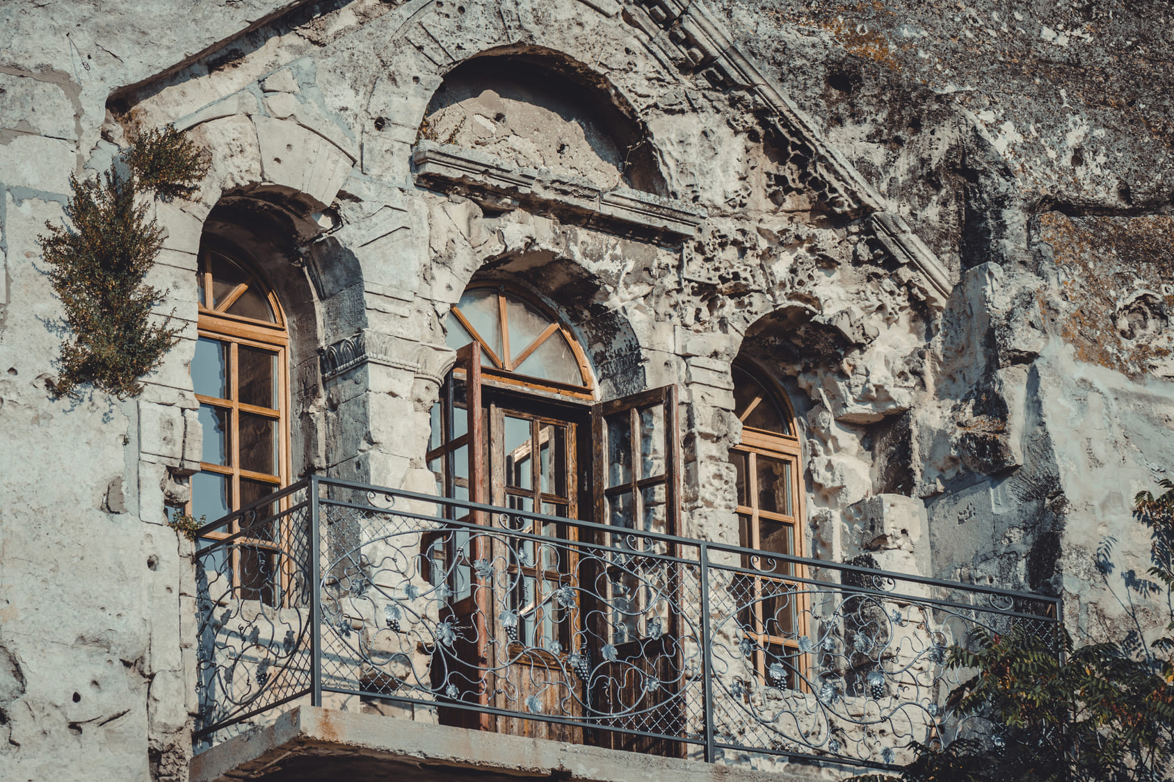 Декоративное изображение