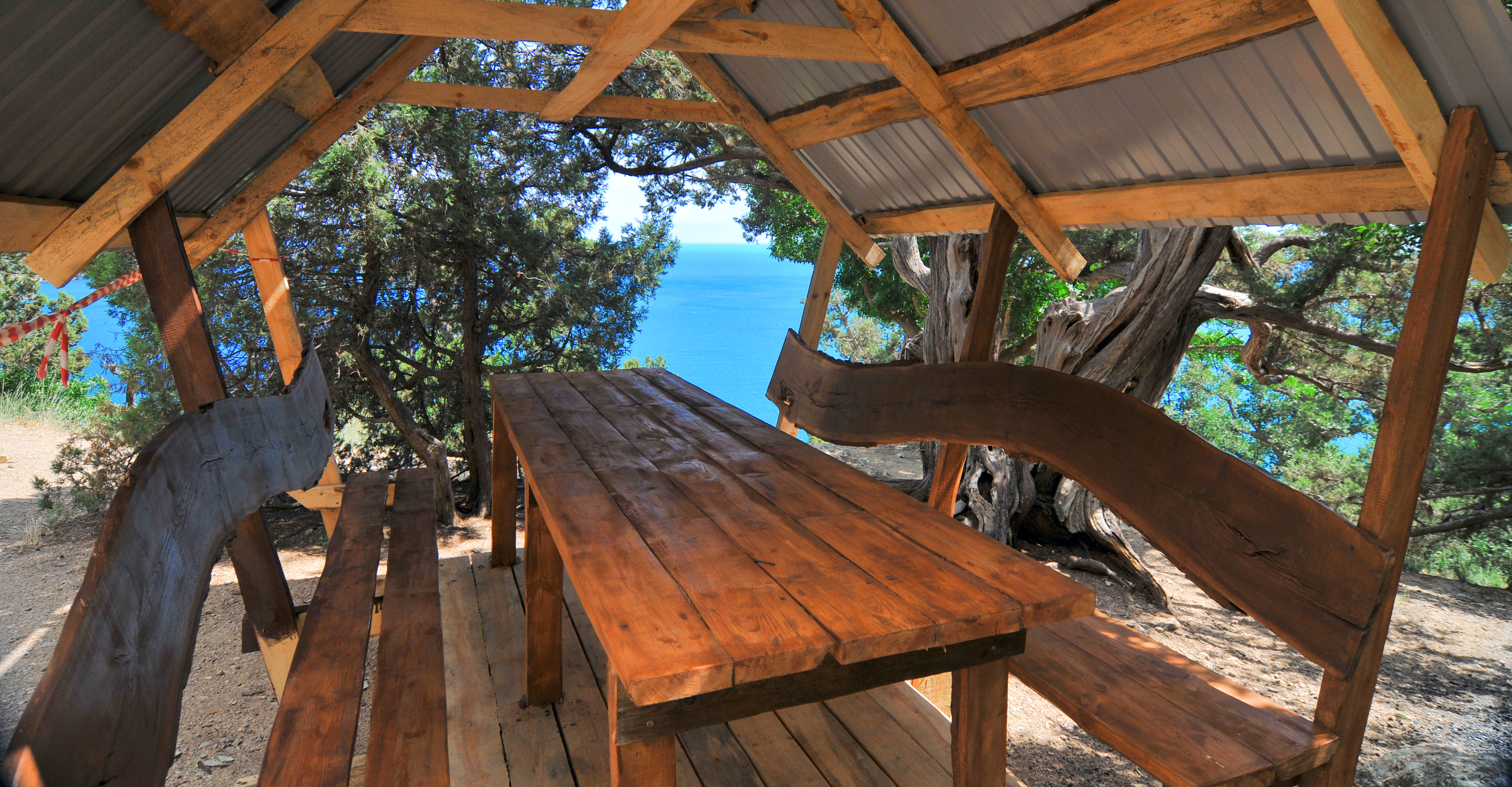 Декоративное изображение