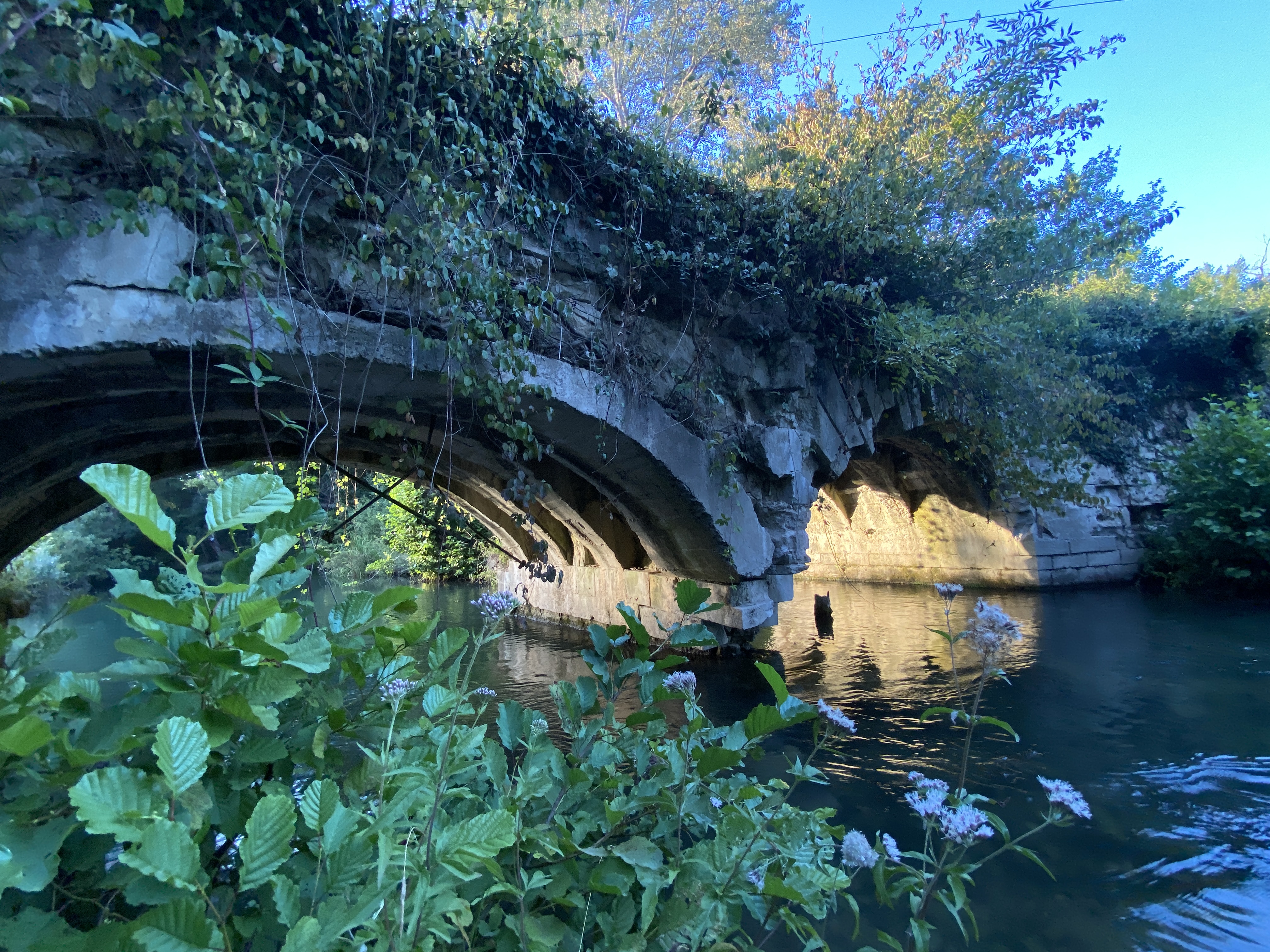 Декоративное изображение