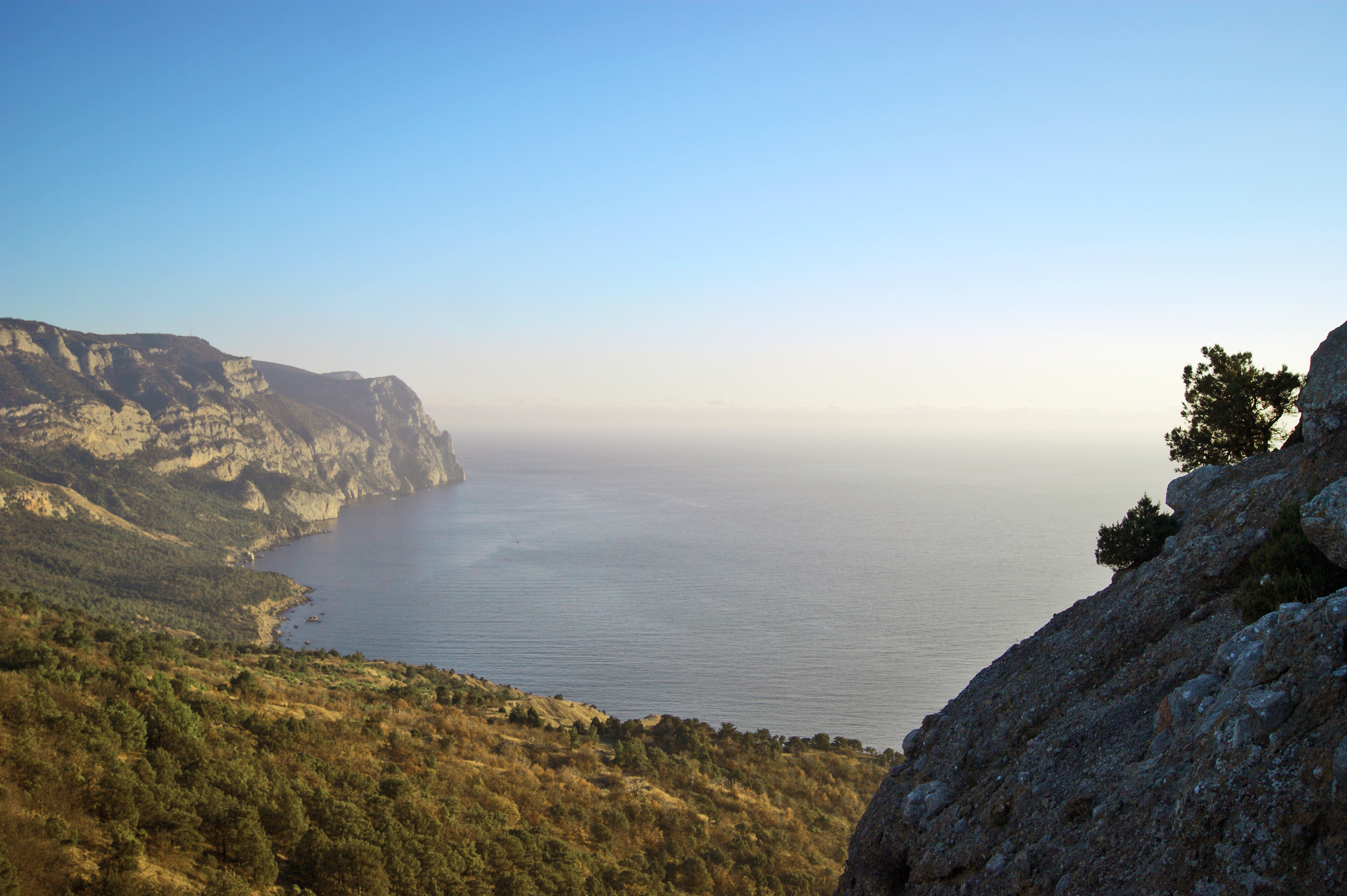 Декоративное изображение