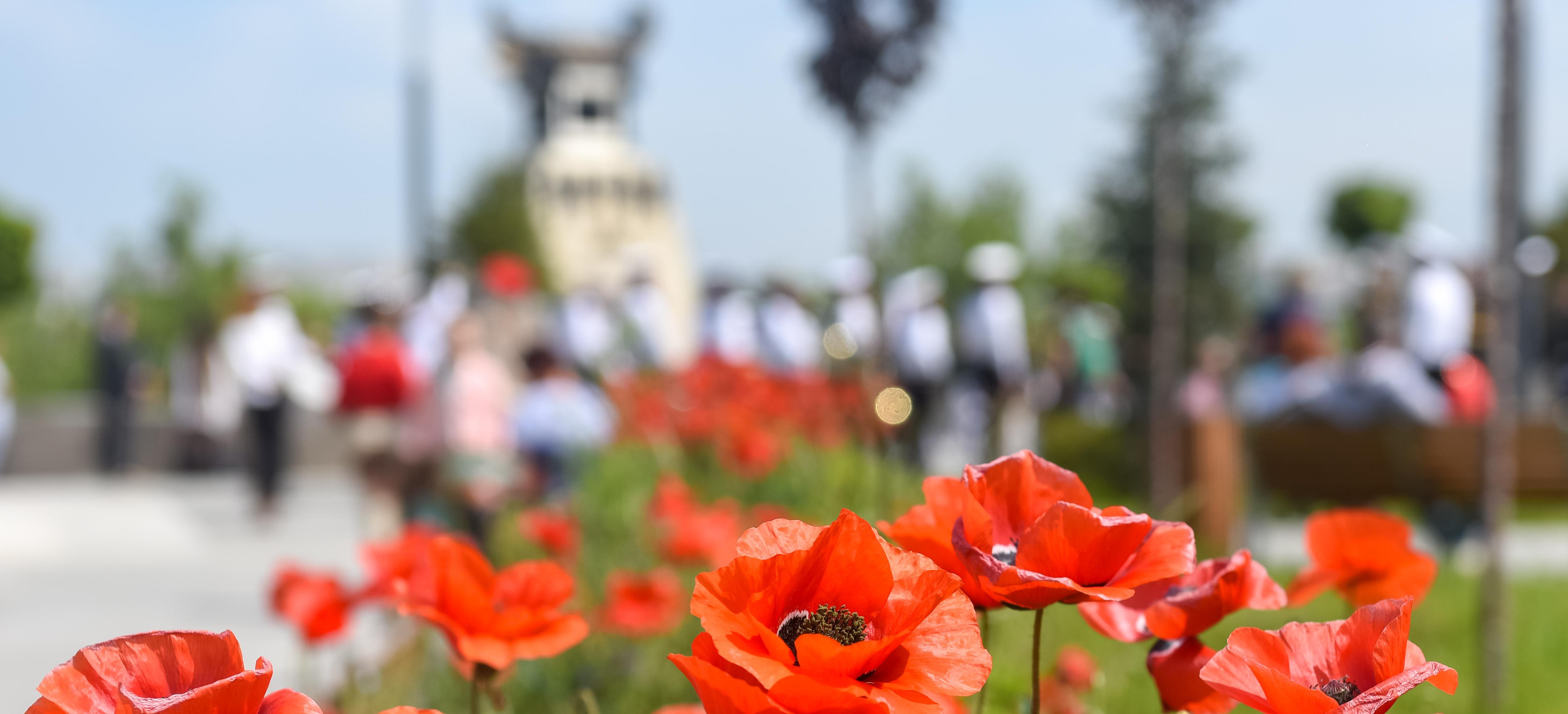 Декоративное изображение