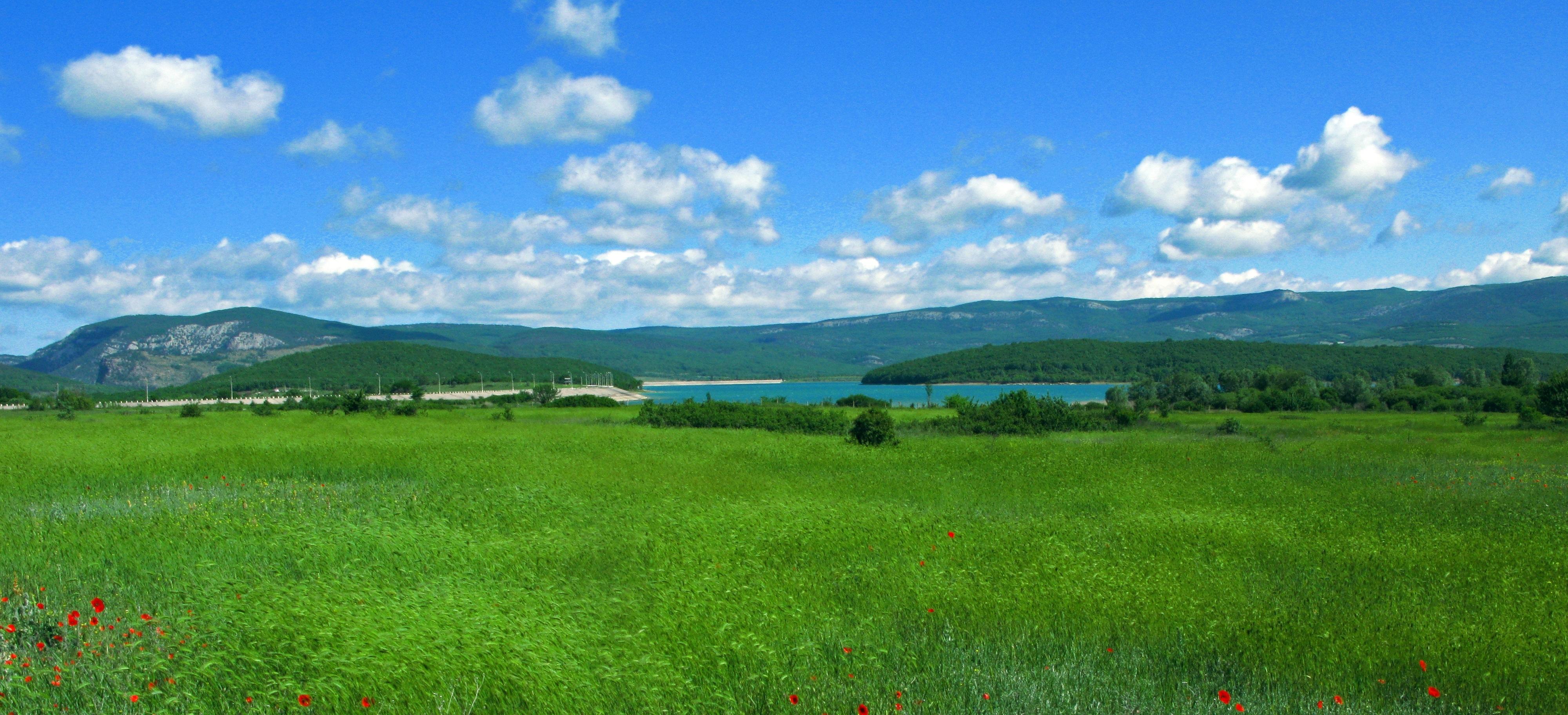 Декоративное изображение