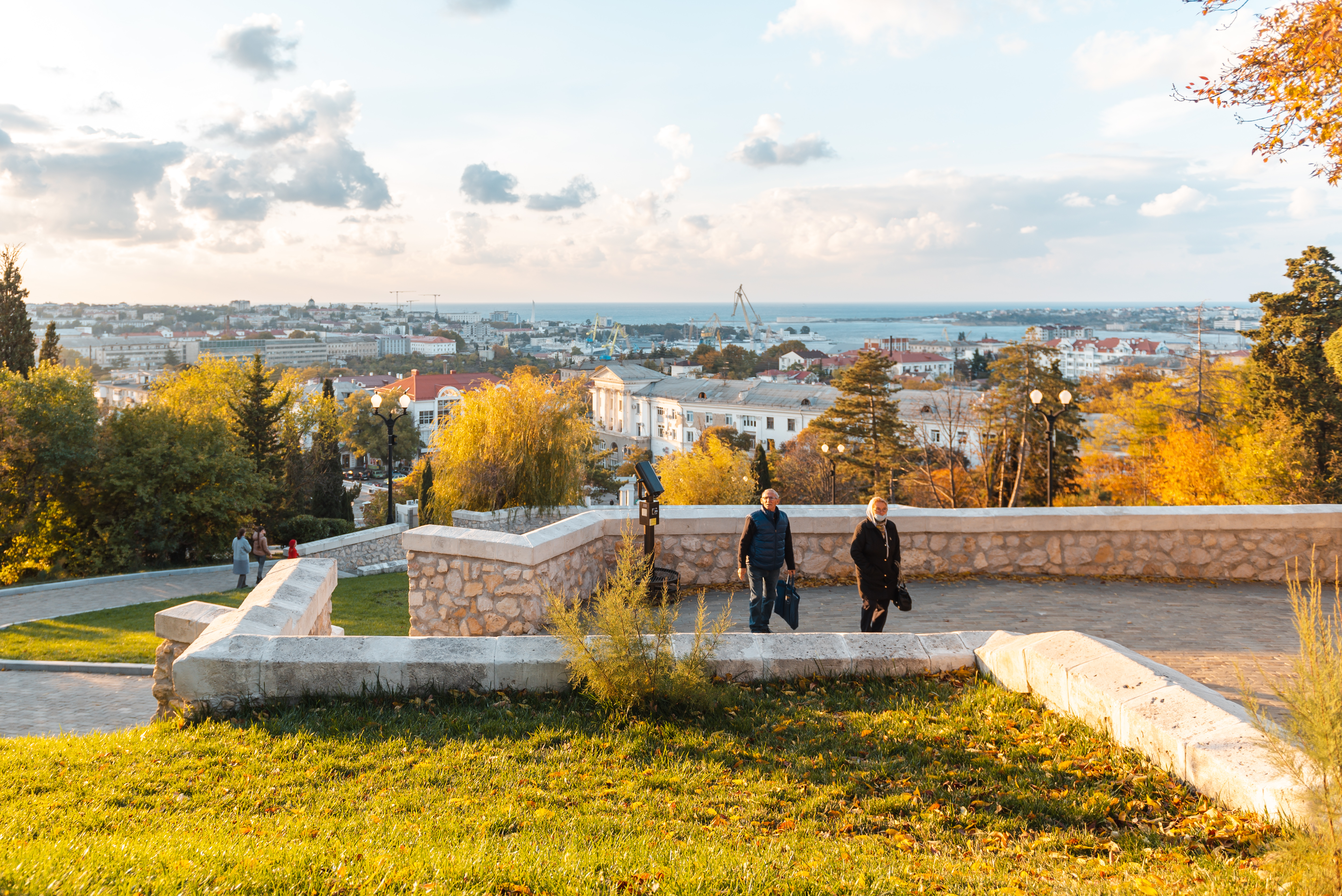Декоративное изображение