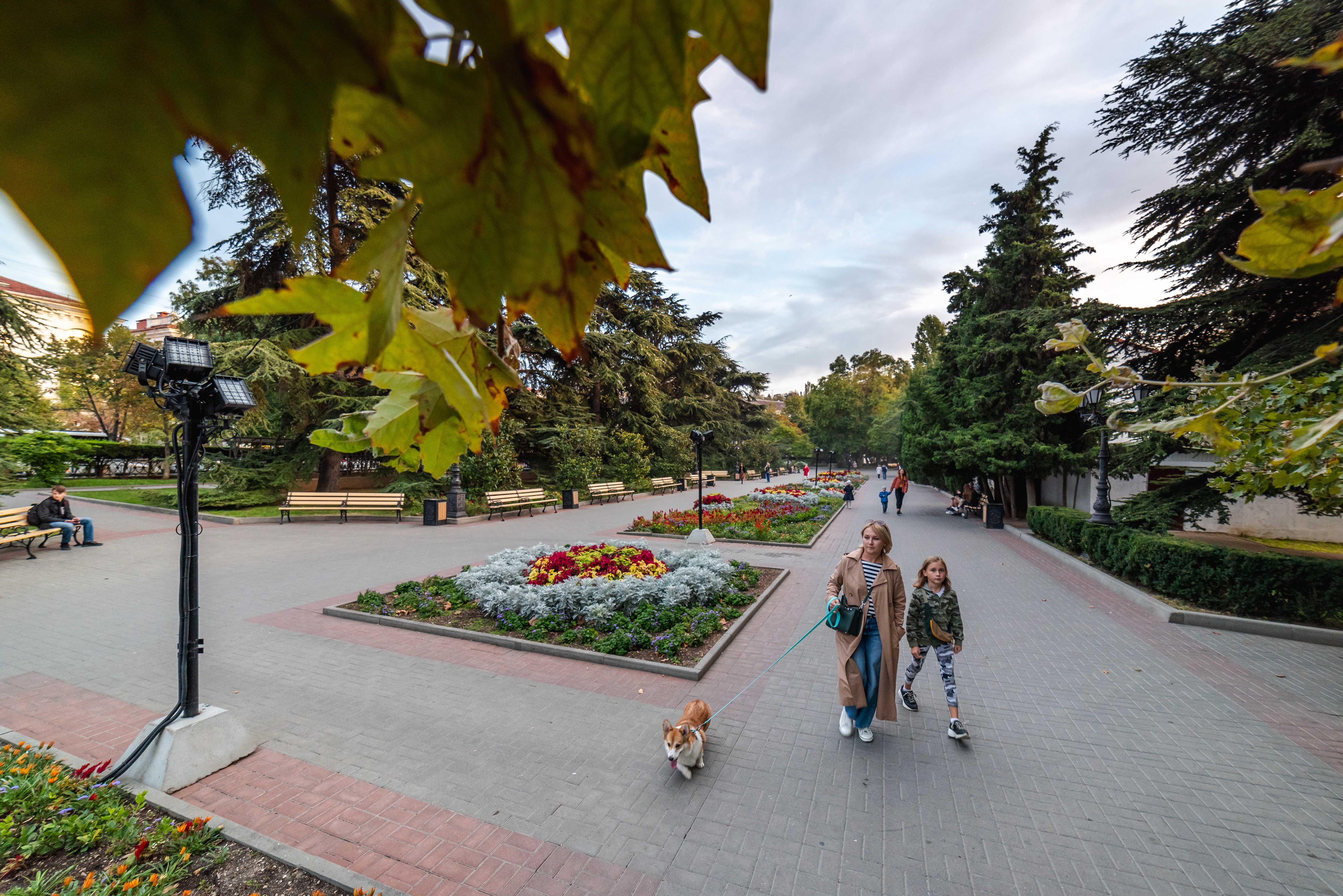 Декоративное изображение