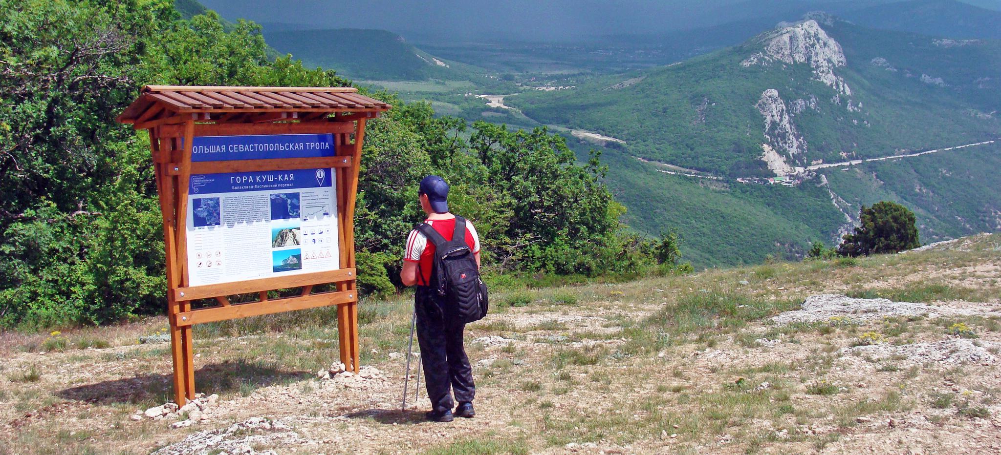 Декоративное изображение