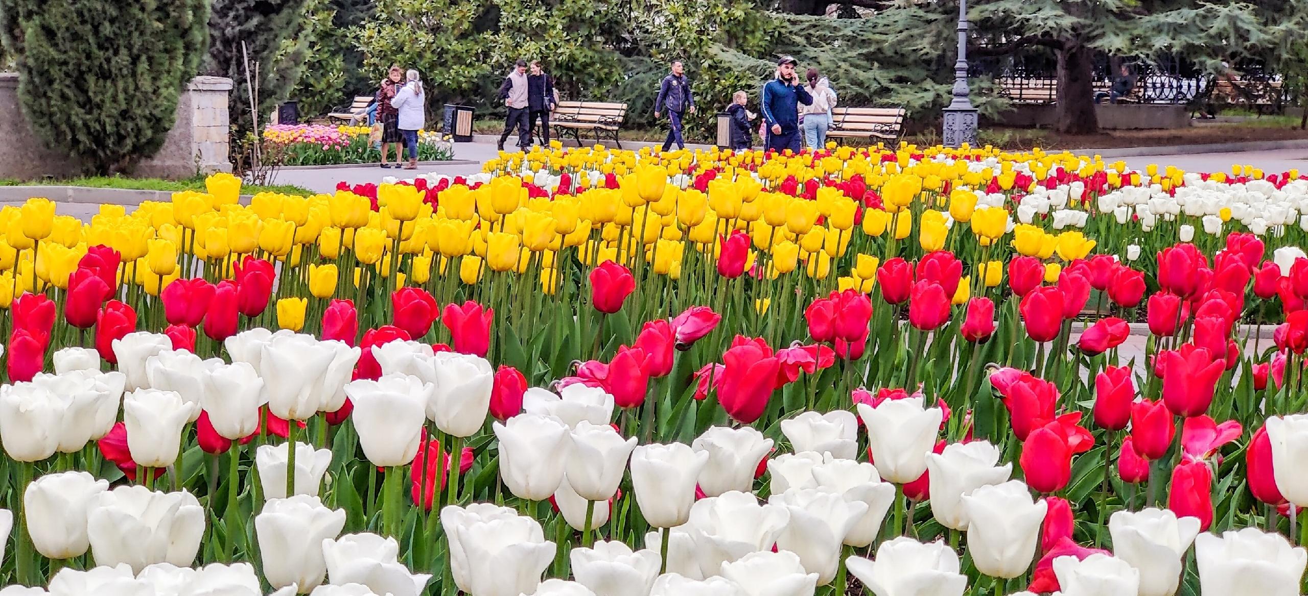 Декоративное изображение