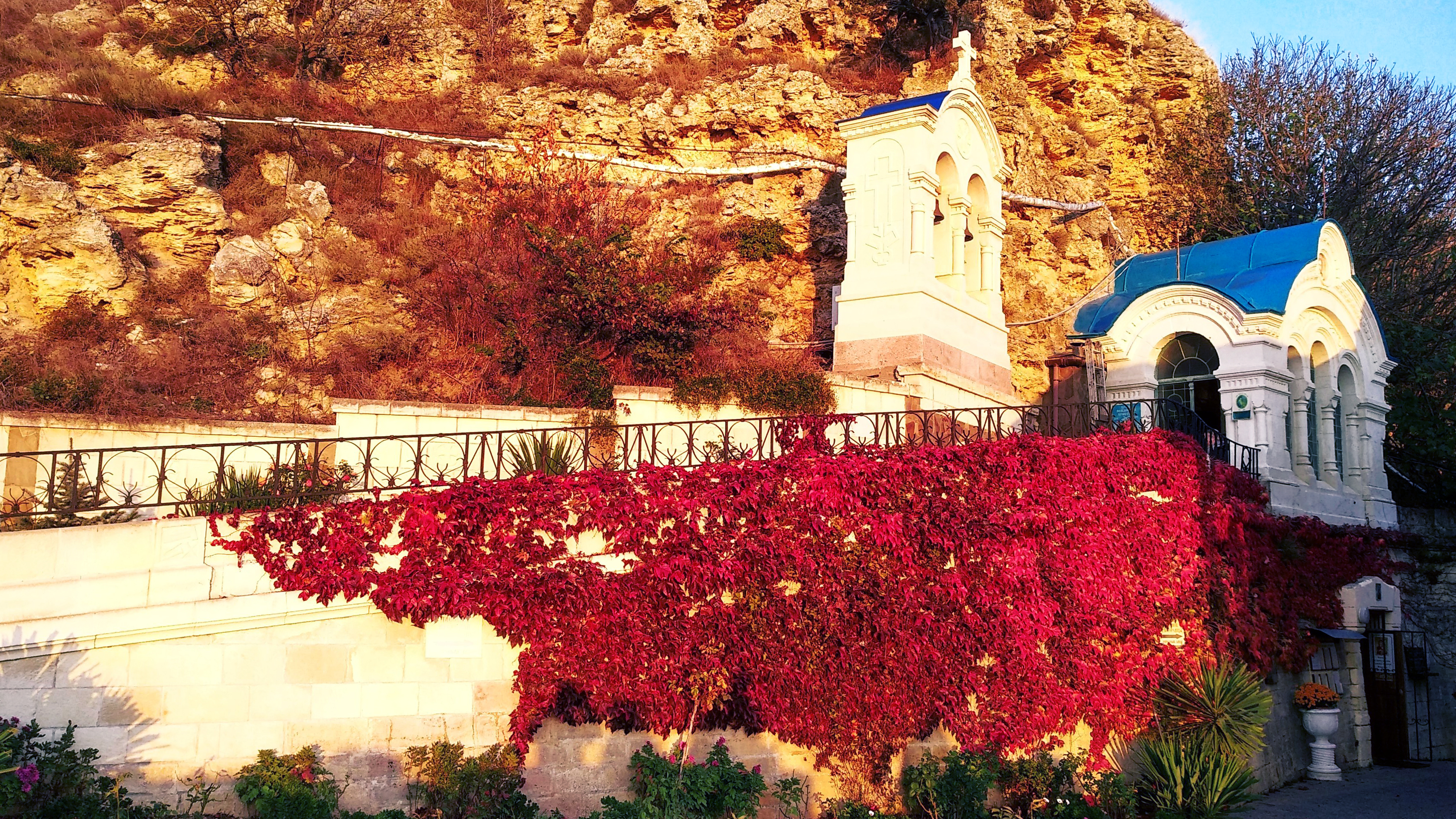 Декоративное изображение