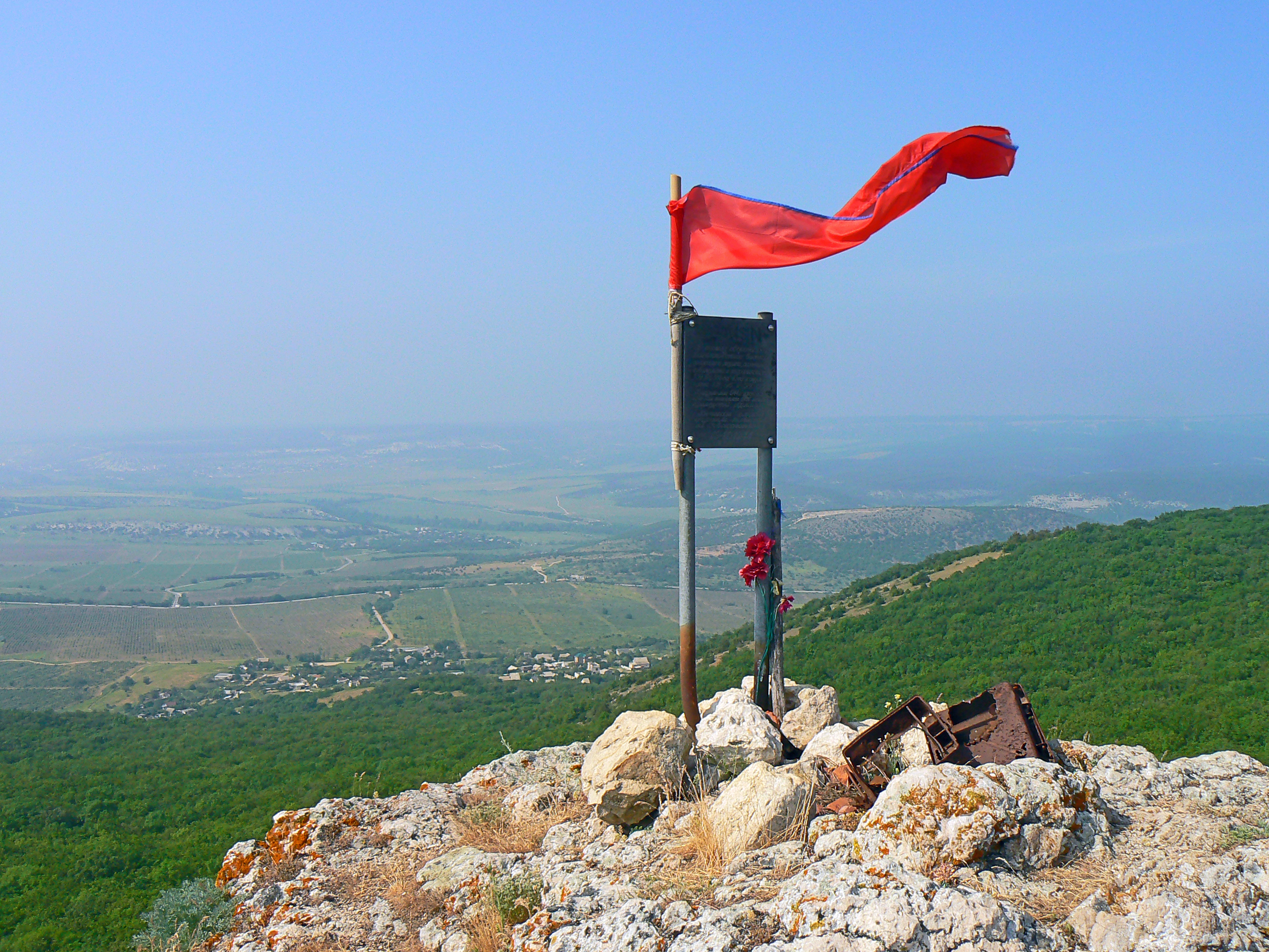 Декоративное изображение