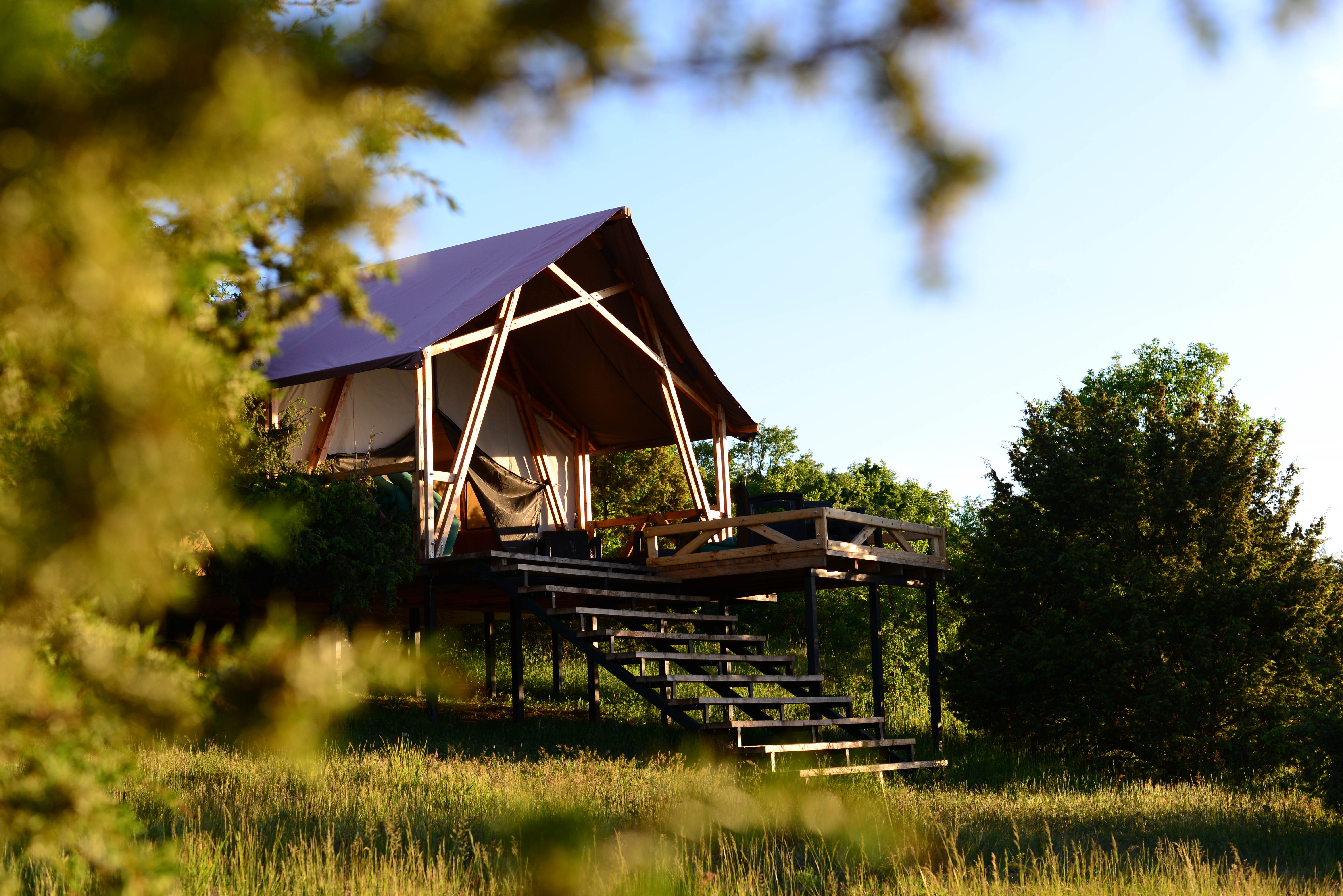 Декоративное изображение