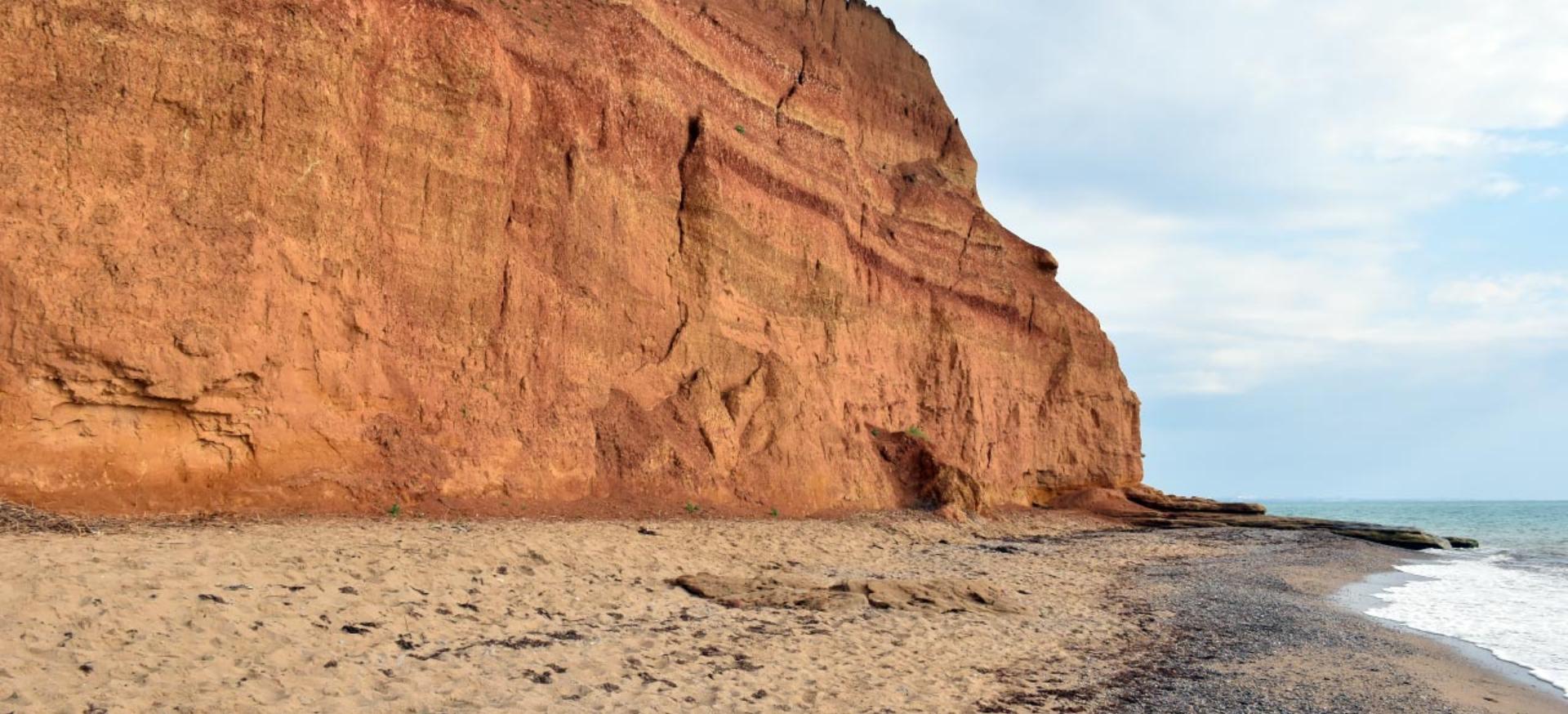 Декоративное изображение