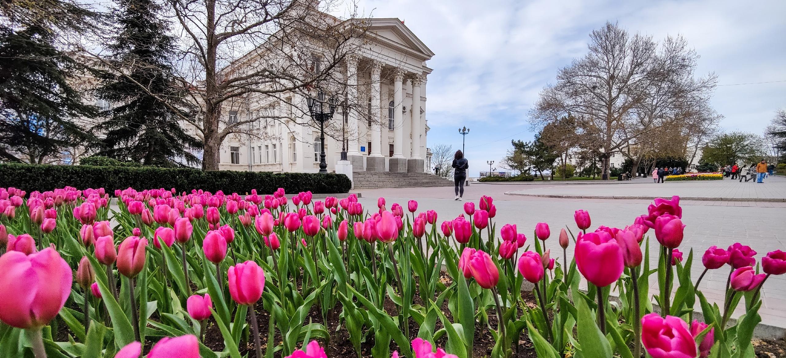 Декоративное изображение