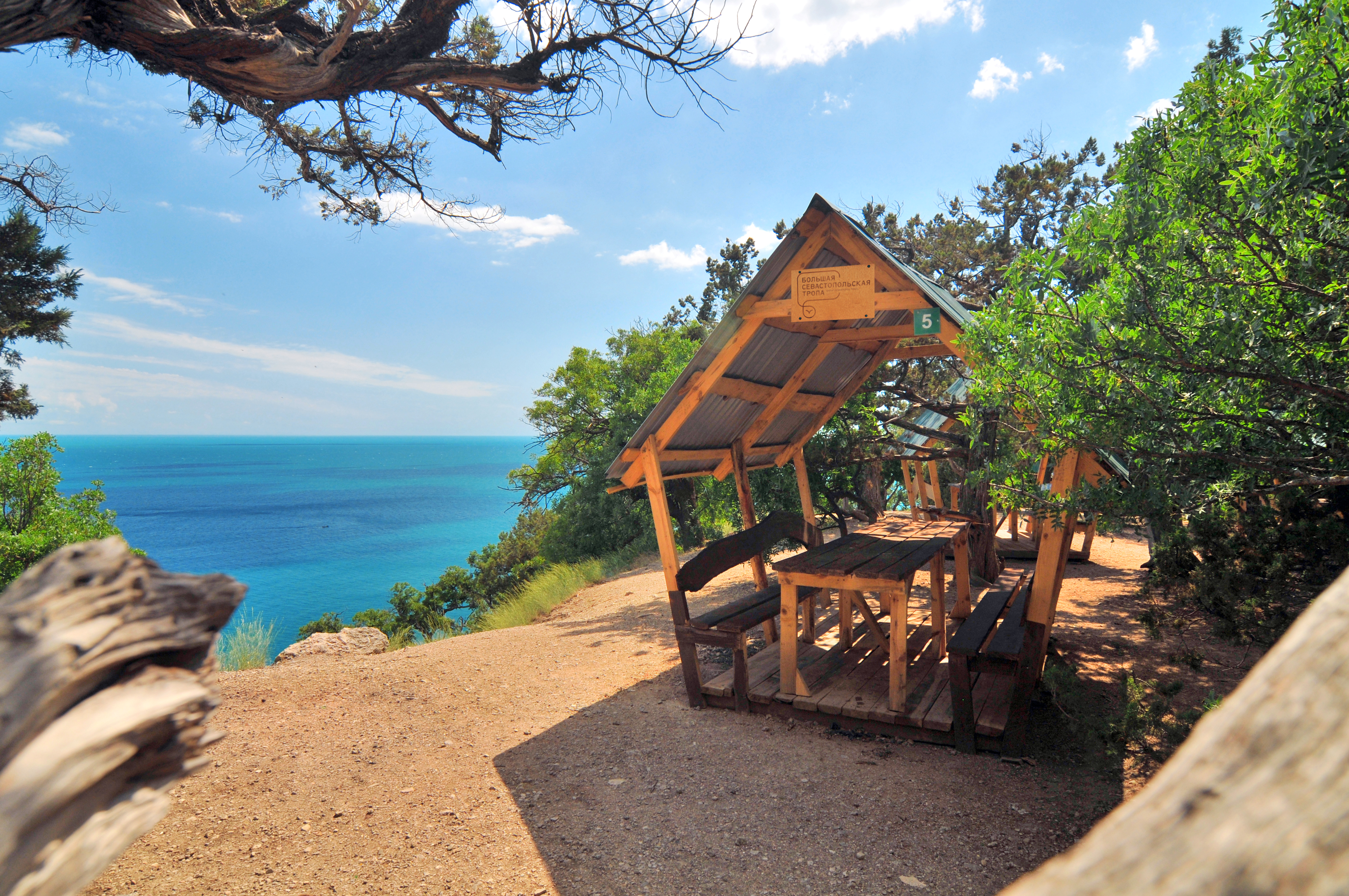 Декоративное изображение