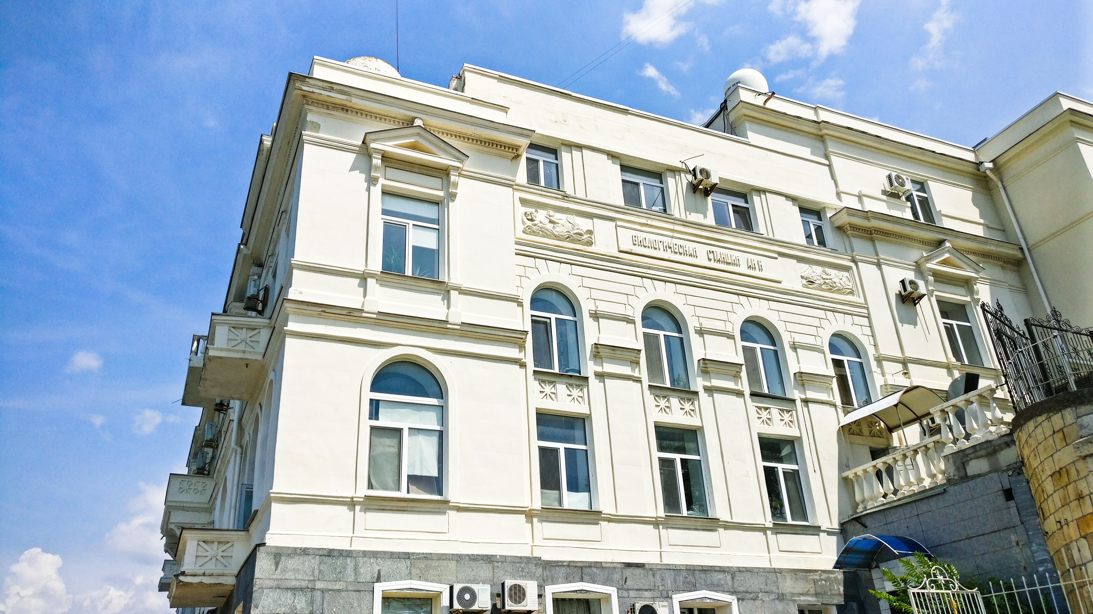 Декоративное изображение