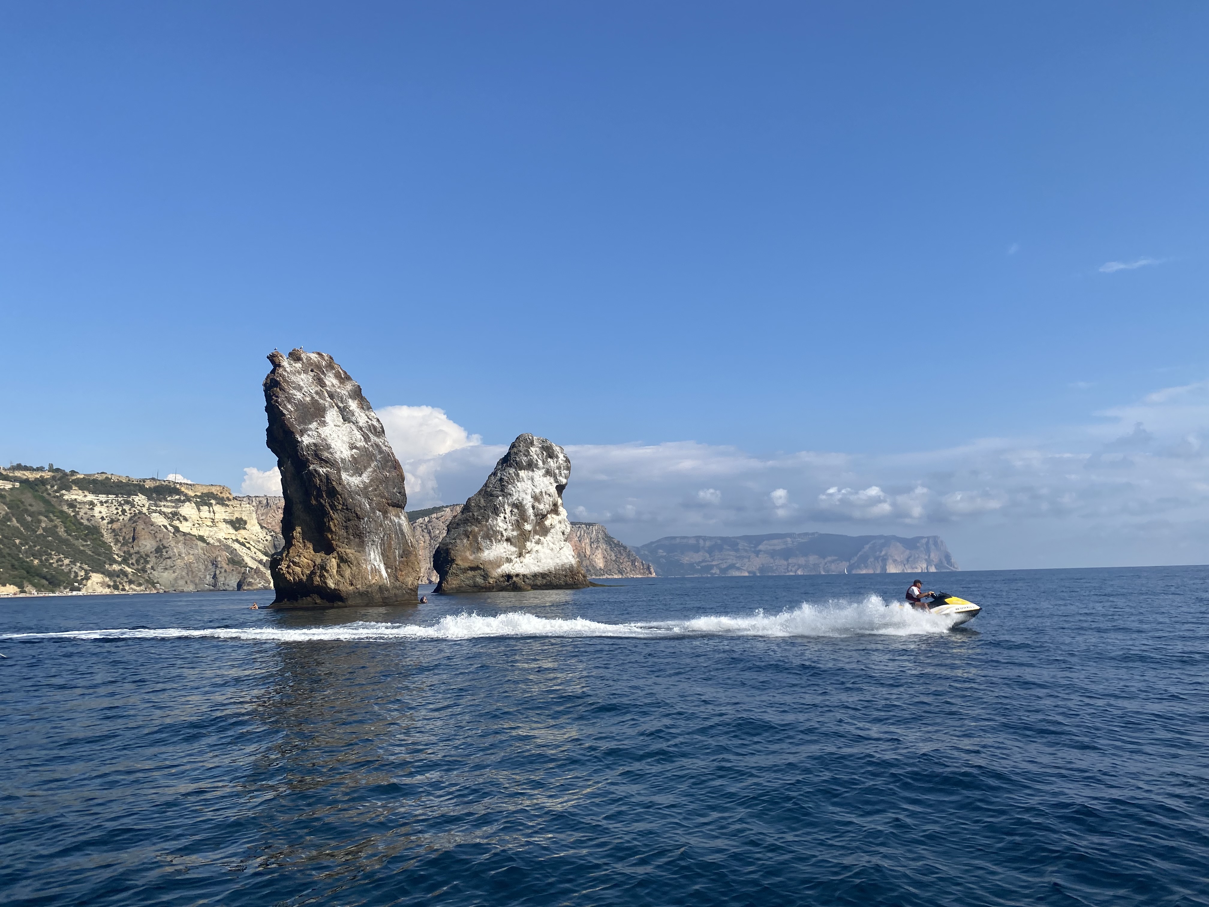 Декоративное изображение