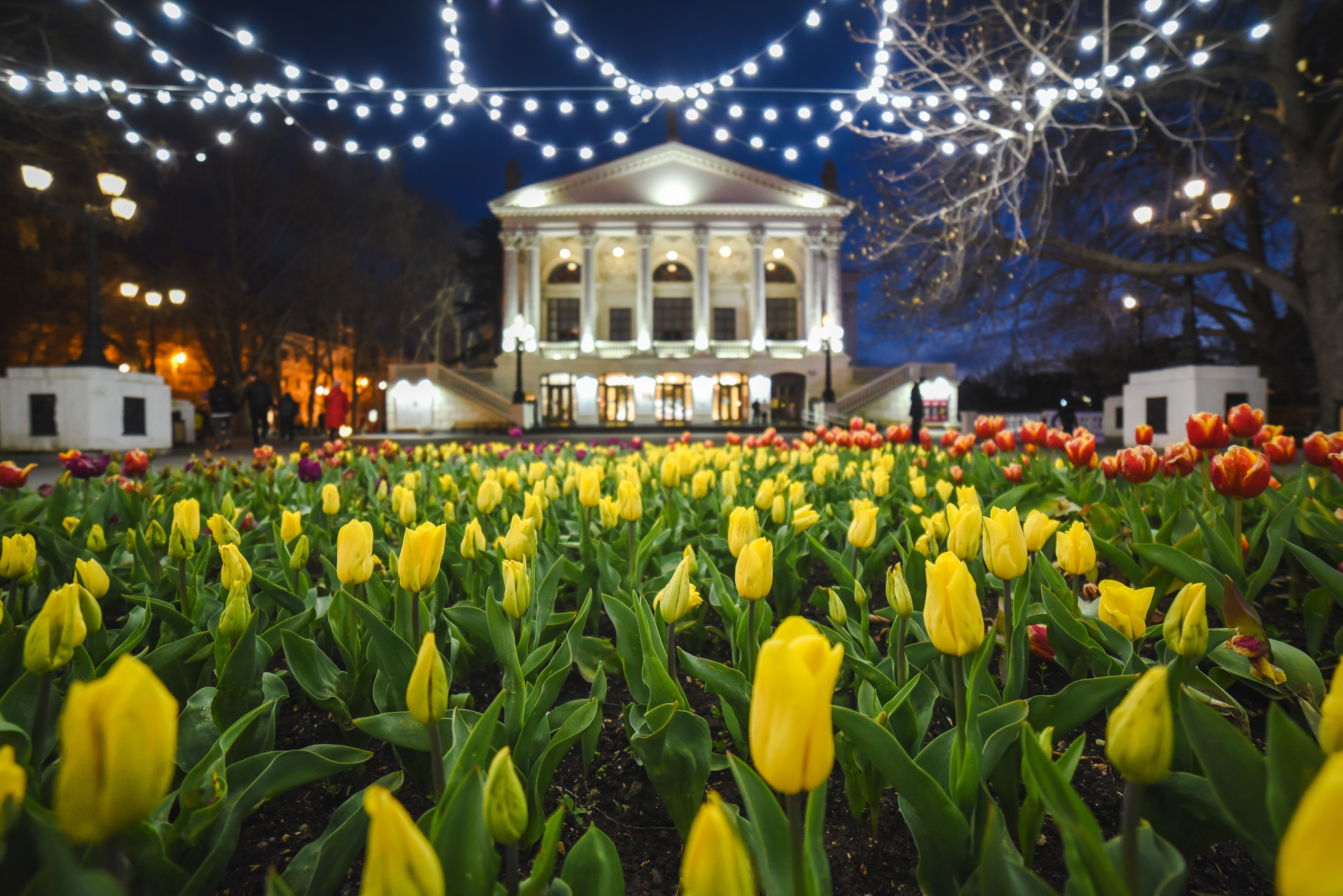 Декоративное изображение