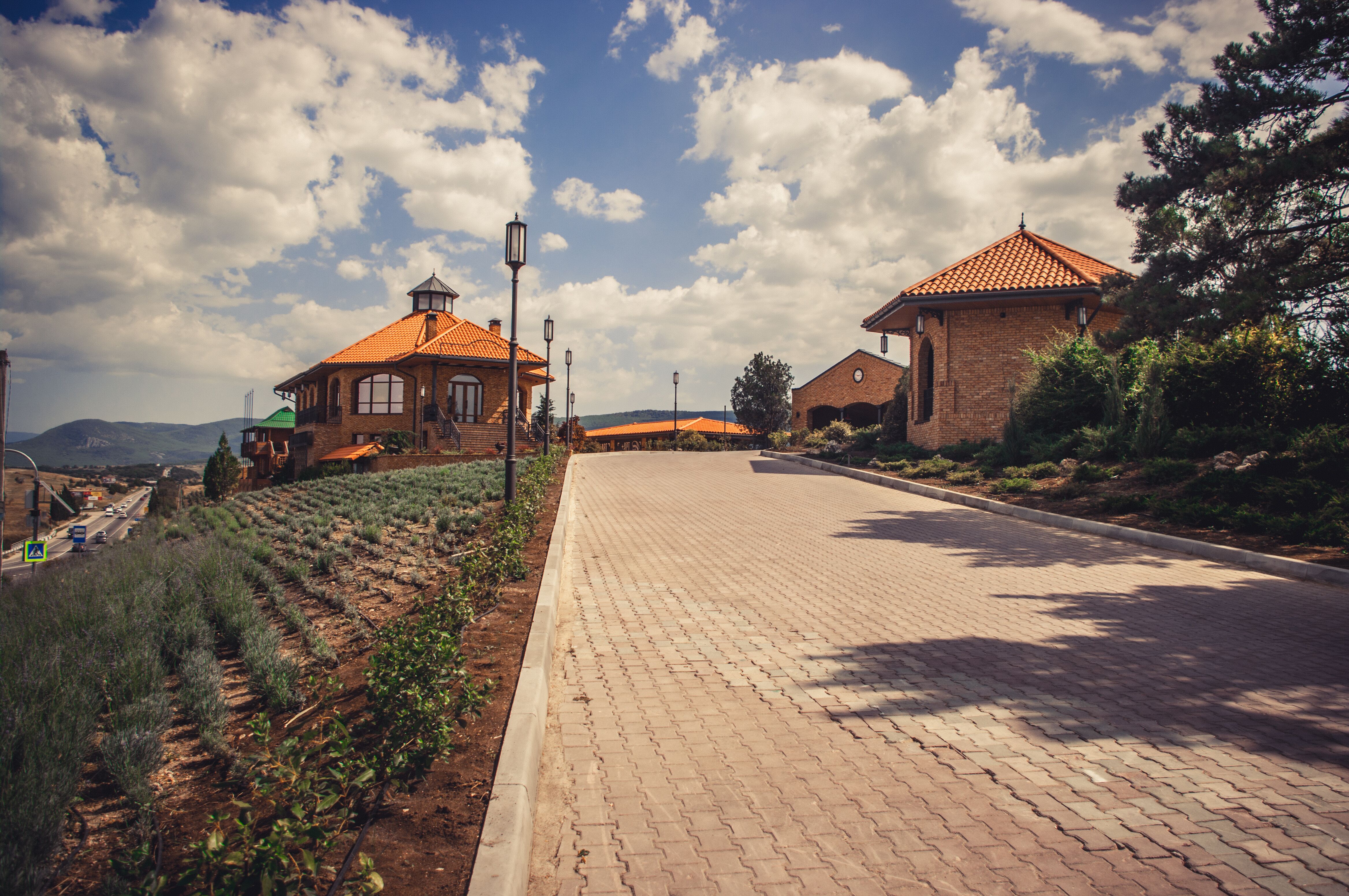 Декоративное изображение