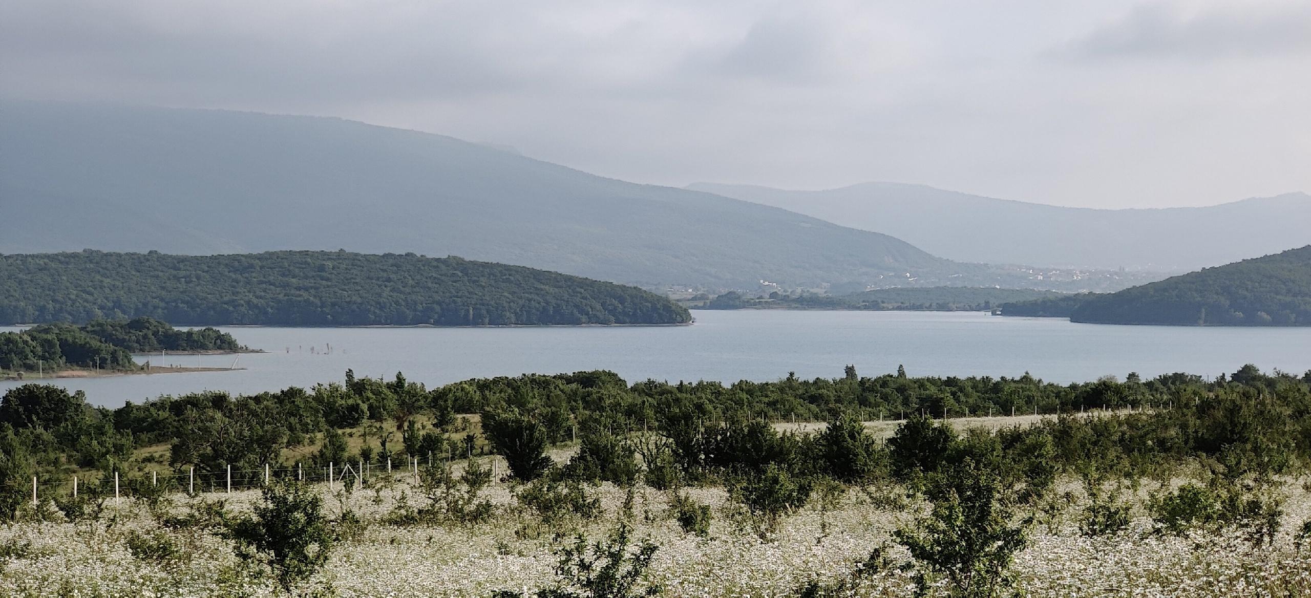 Декоративное изображение