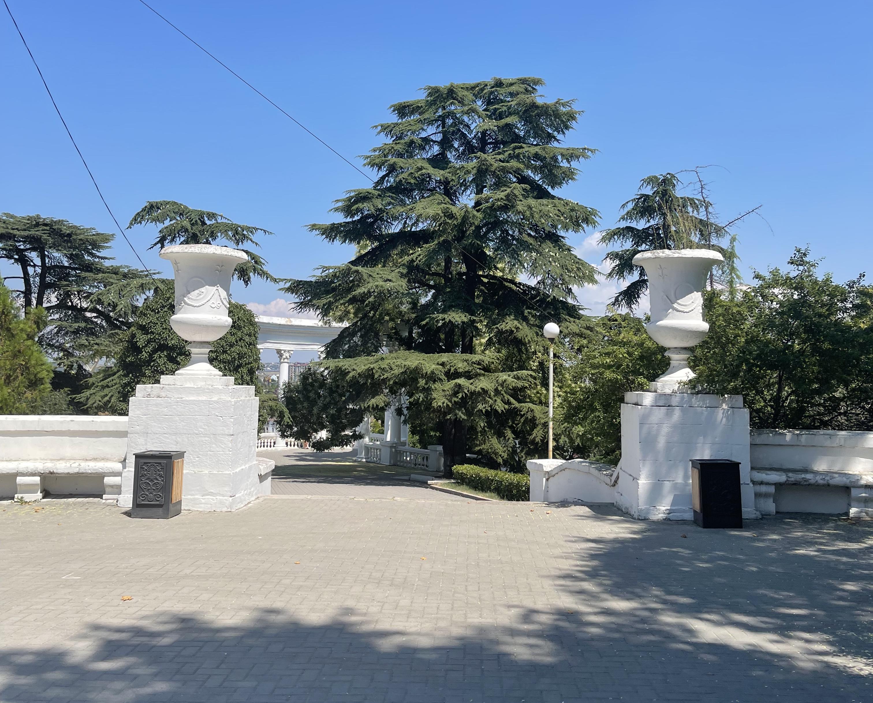 Декоративное изображение