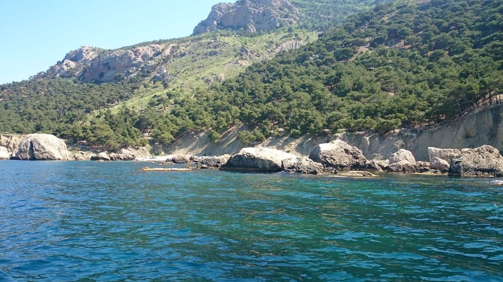 Декоративное изображение