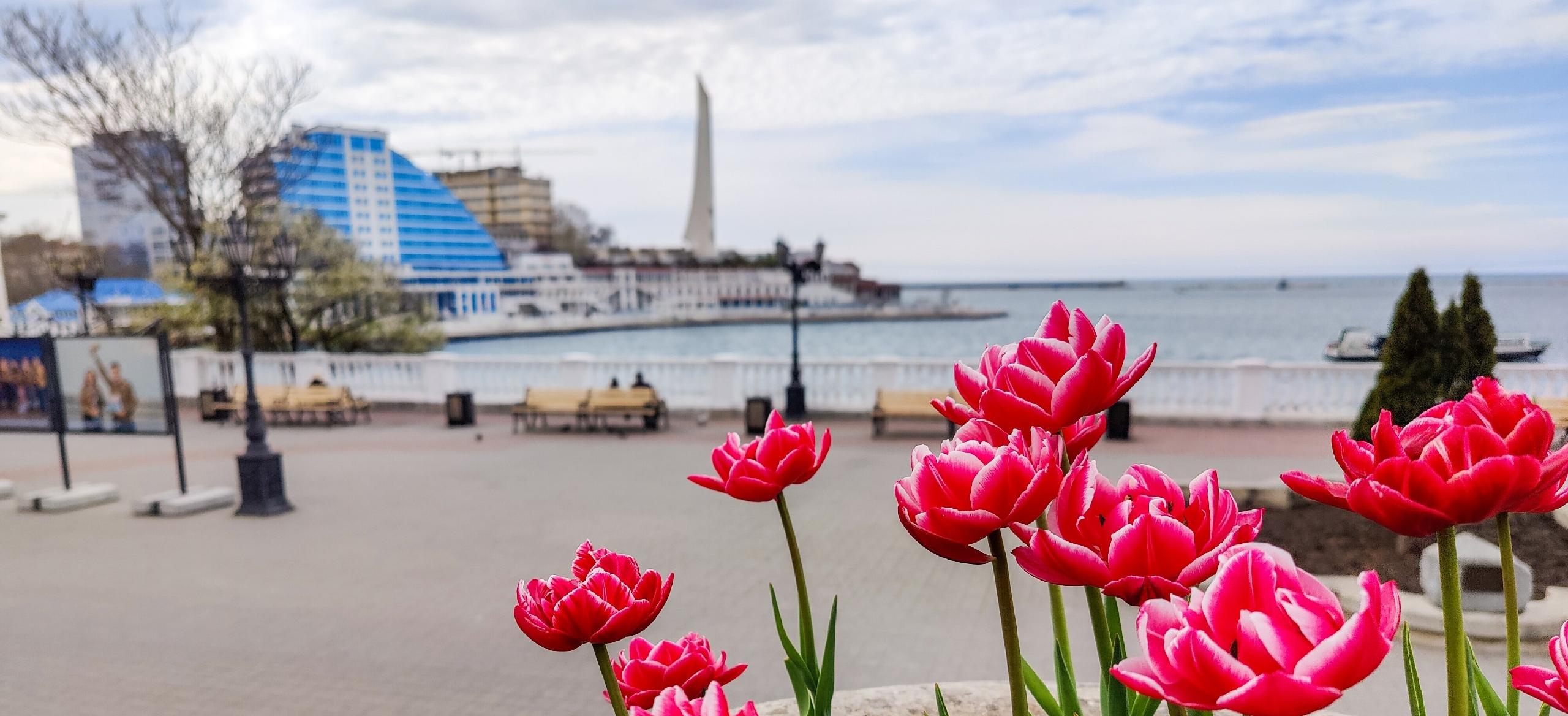 Декоративное изображение