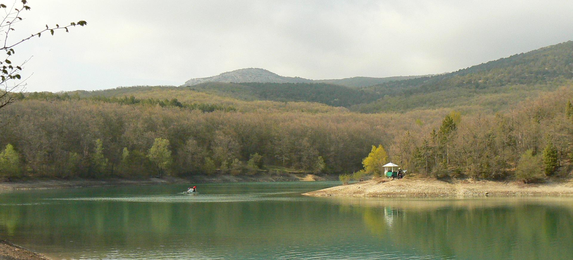 Декоративное изображение