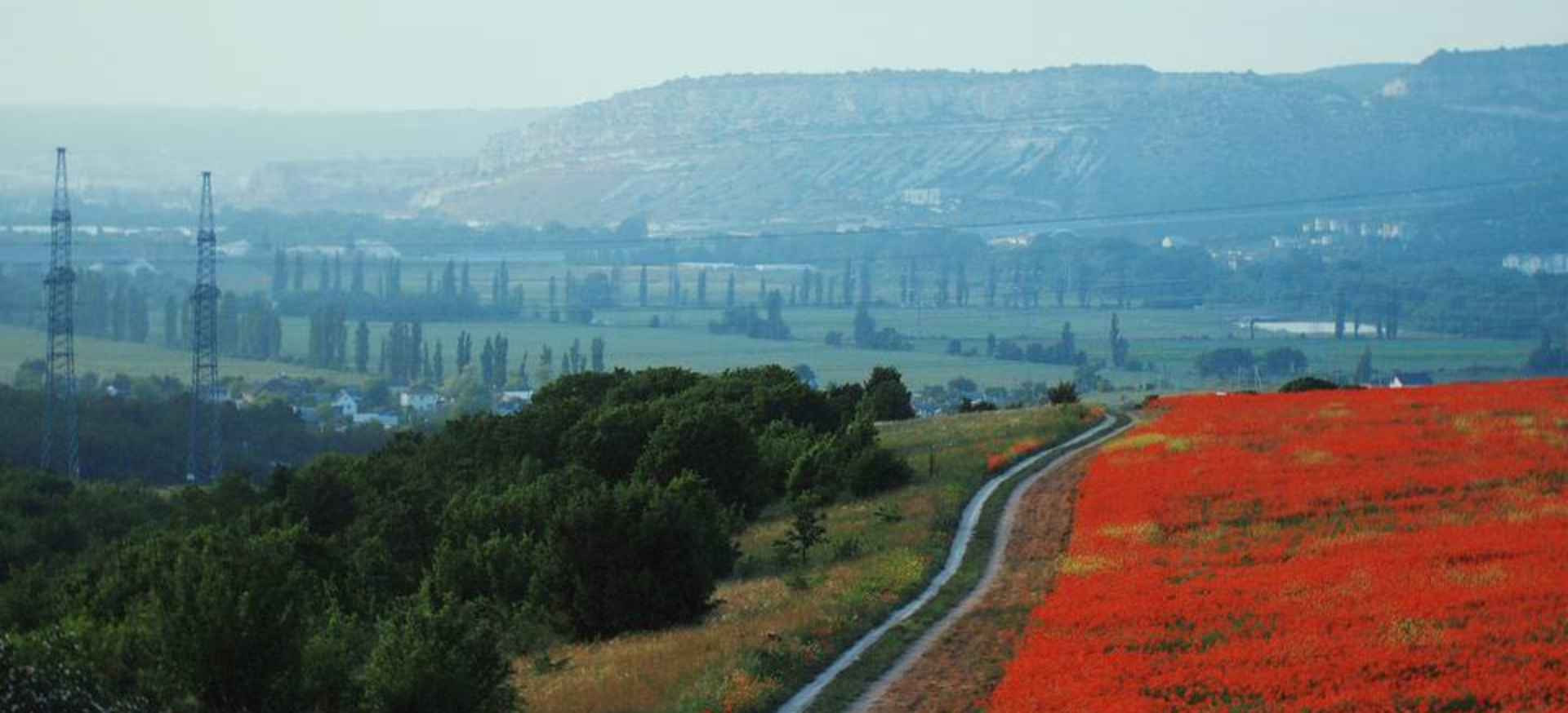 Декоративное изображение