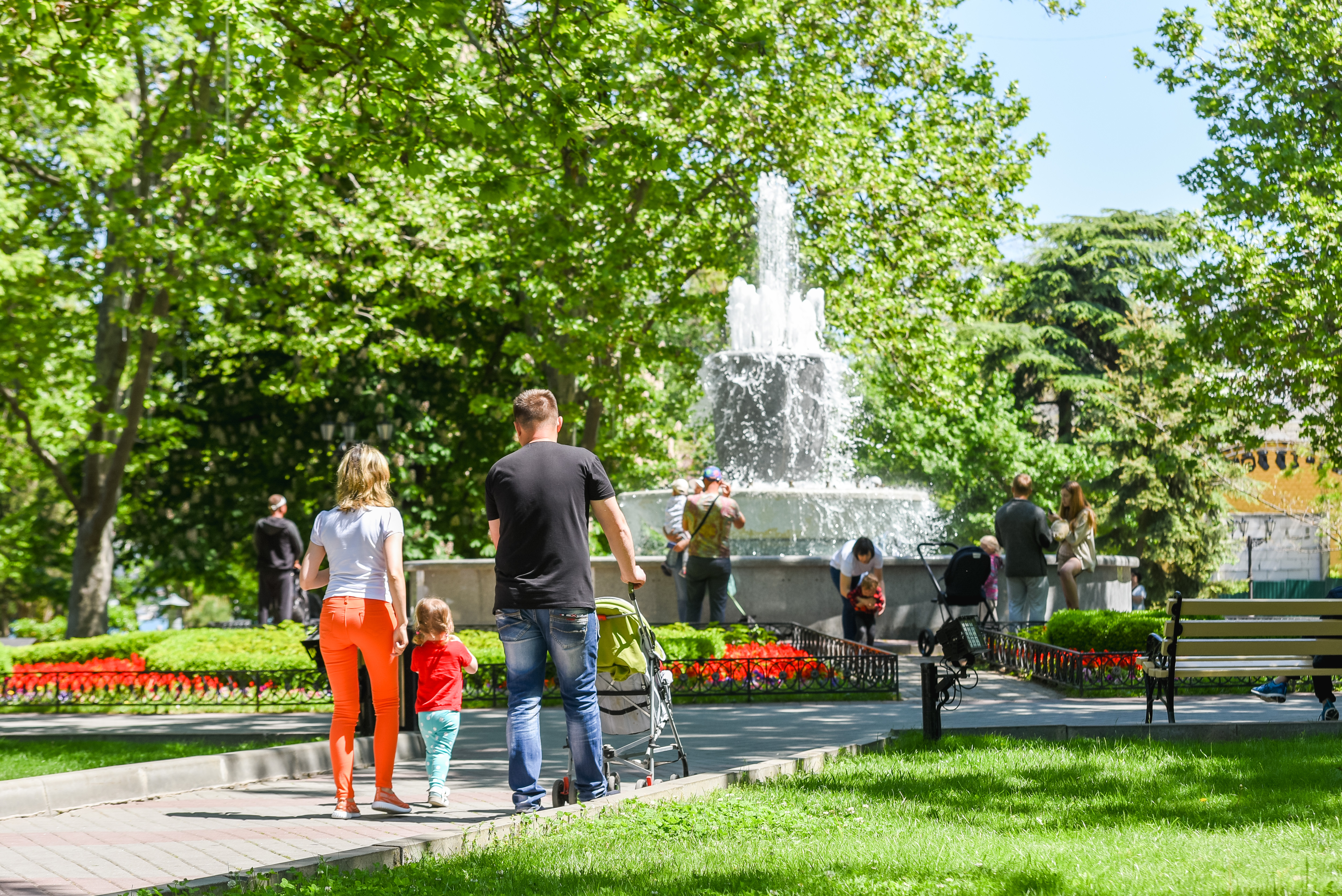 Декоративное изображение