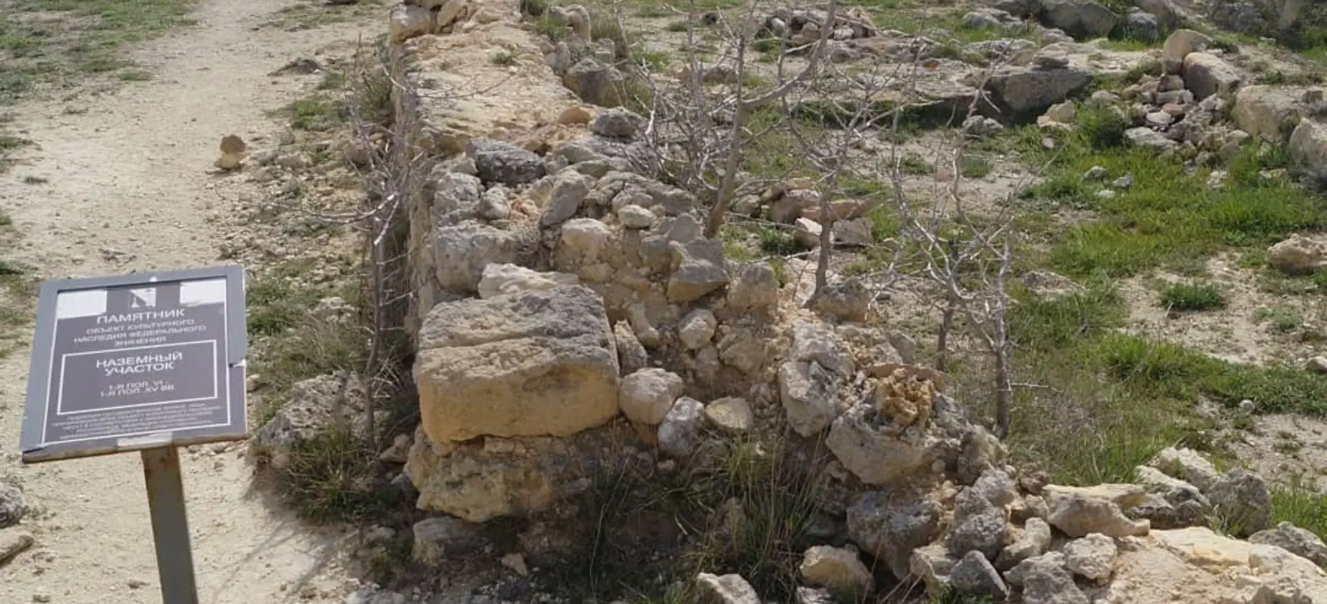 Декоративное изображение