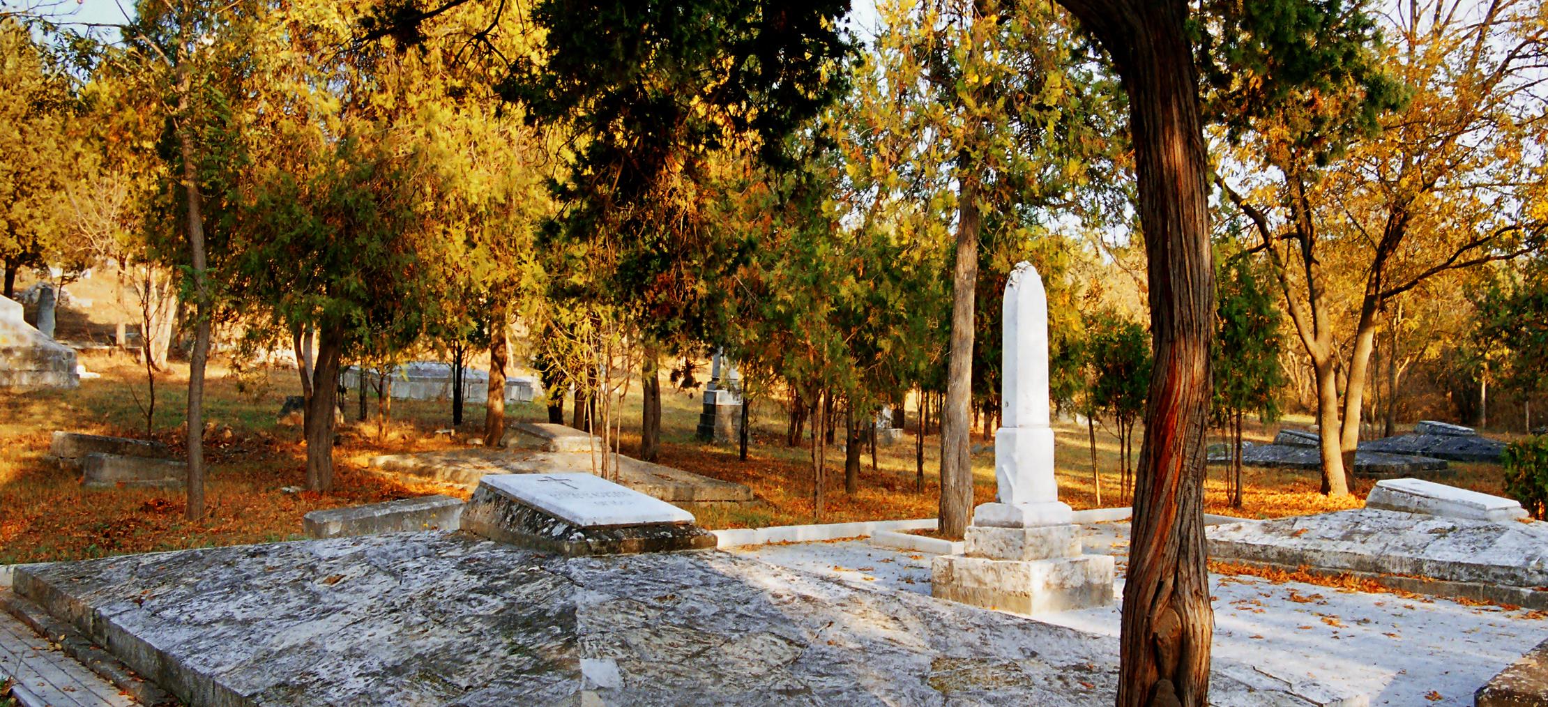 Декоративное изображение