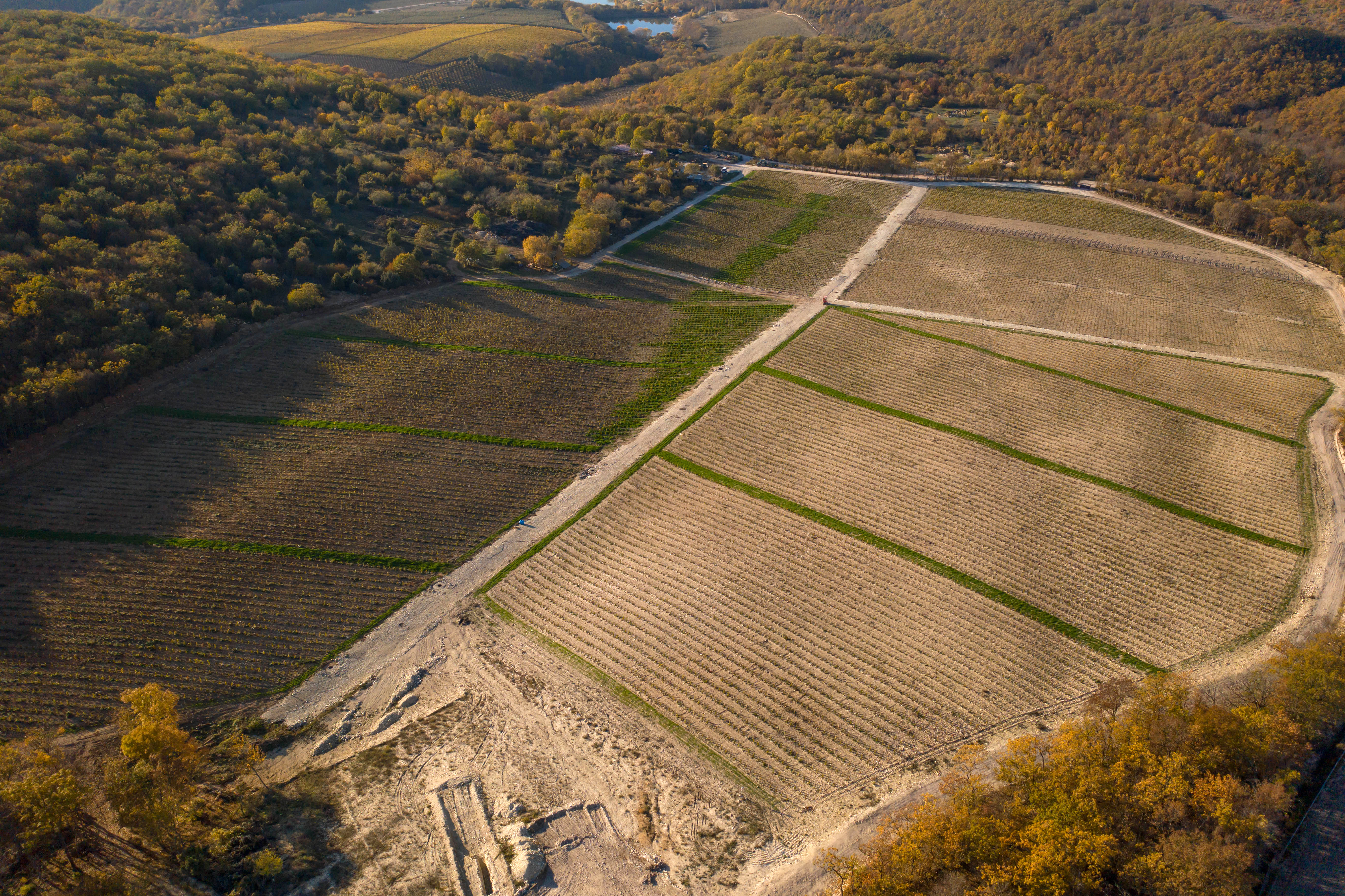 Декоративное изображение