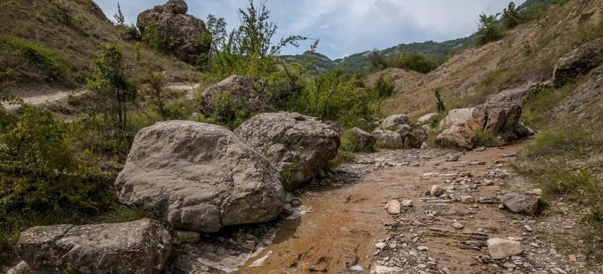 Декоративное изображение