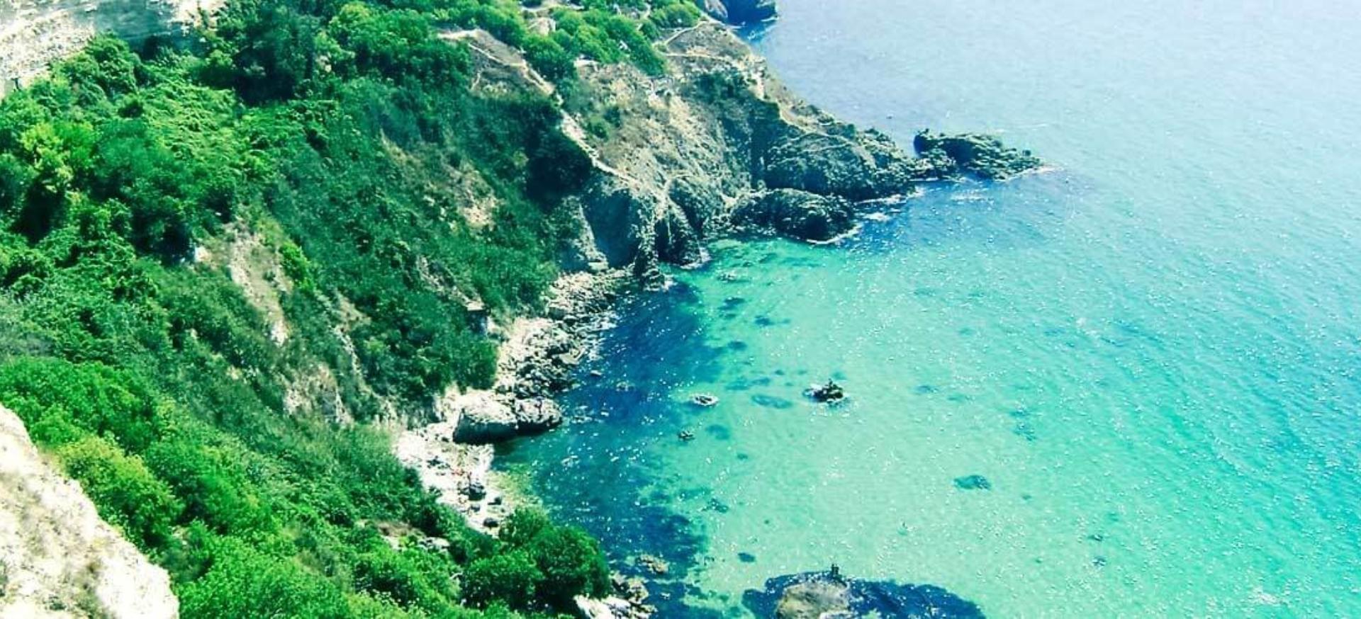 Декоративное изображение