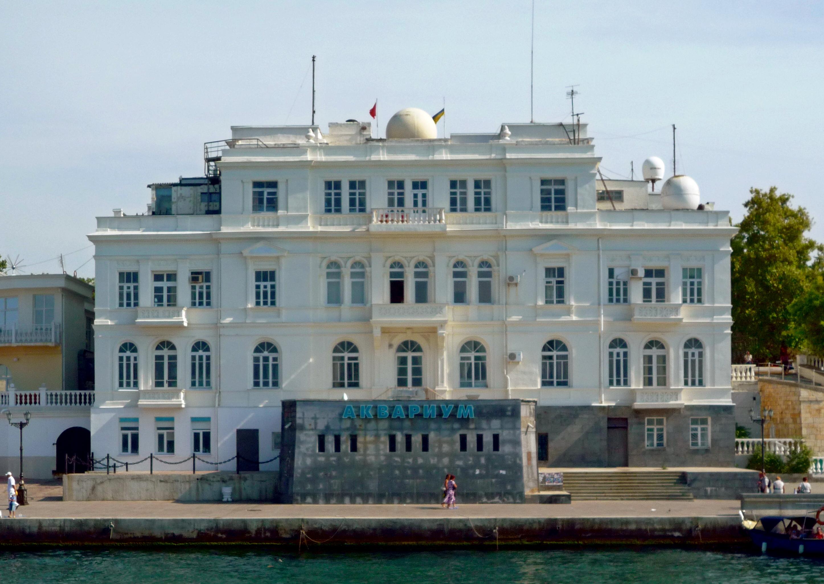 Декоративное изображение