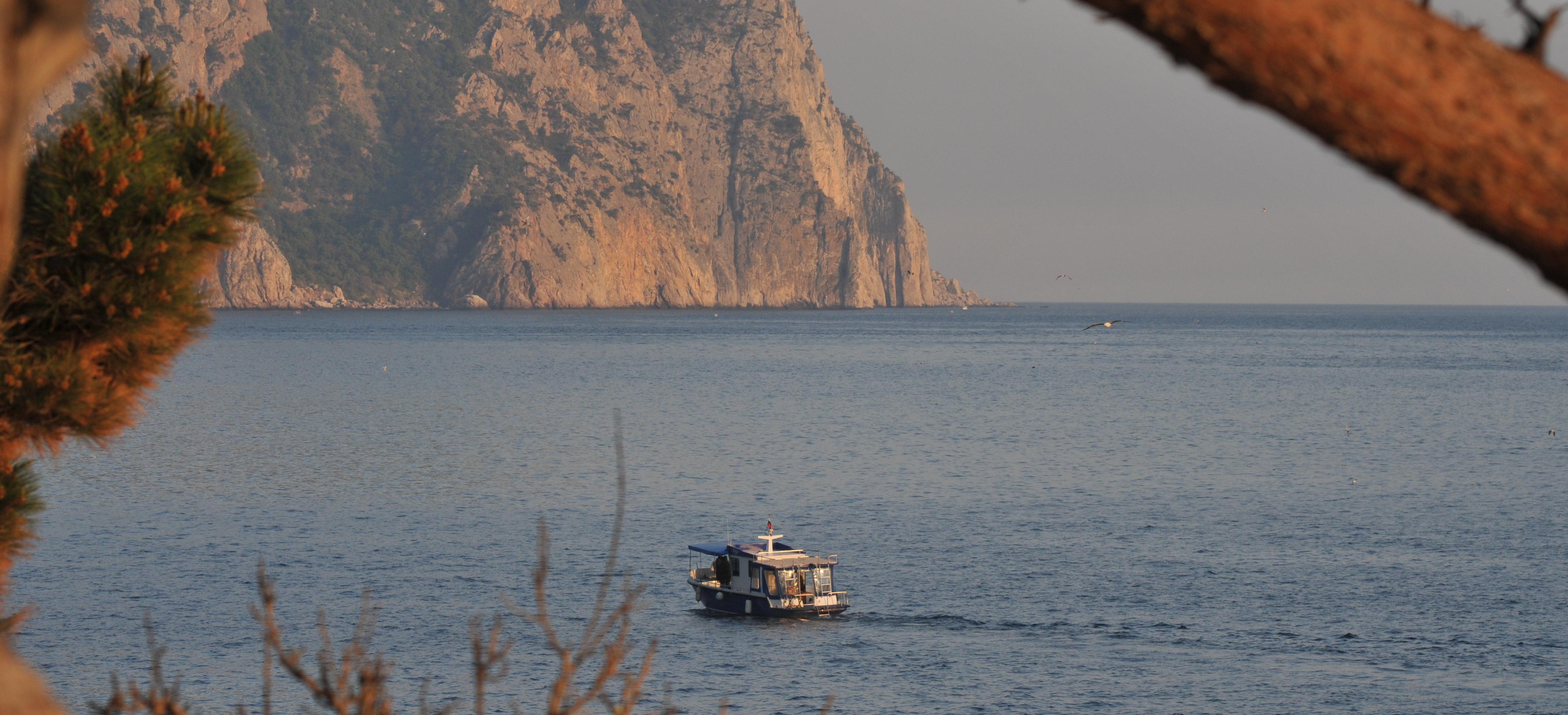 Декоративное изображение