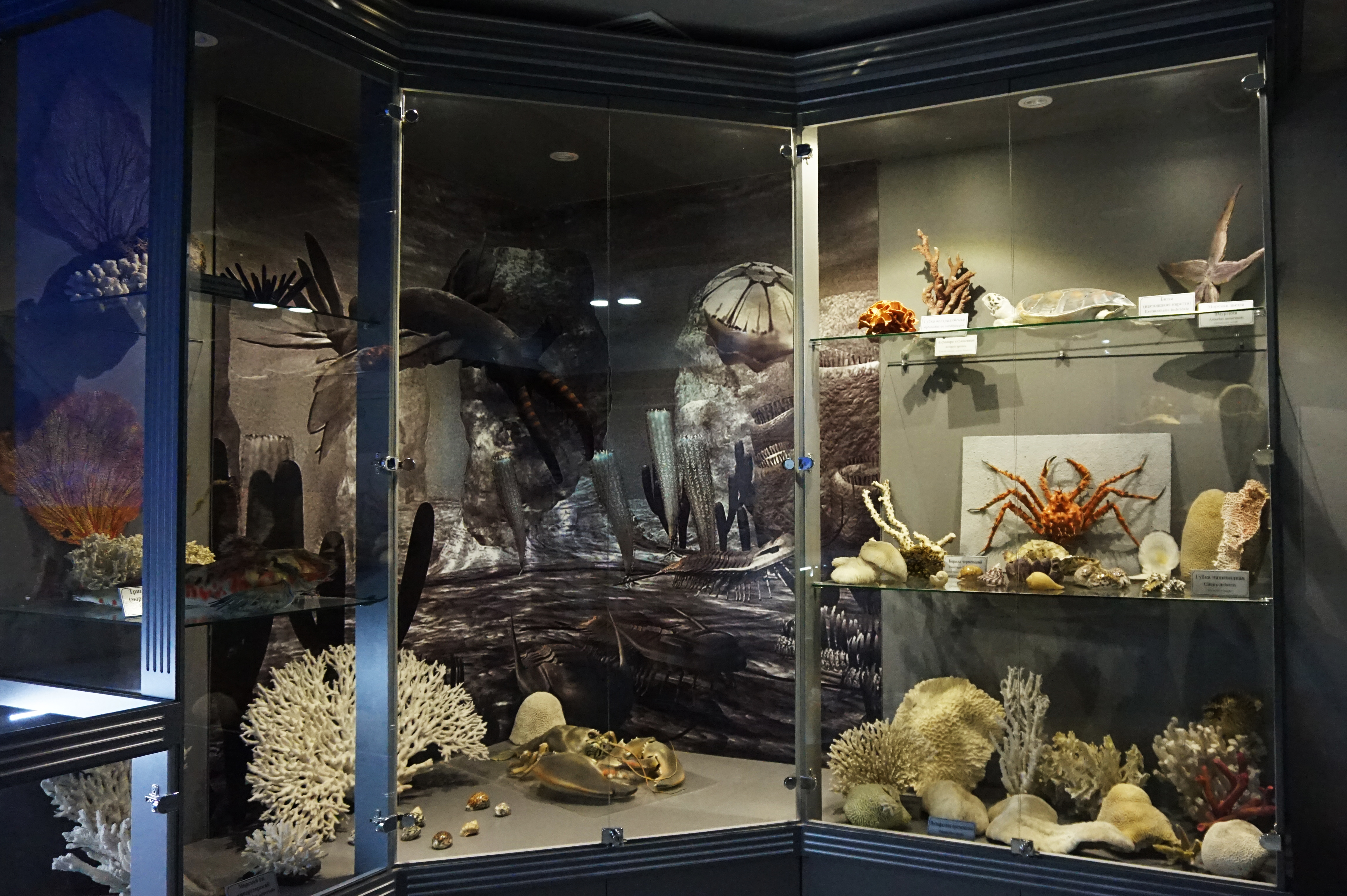 Декоративное изображение