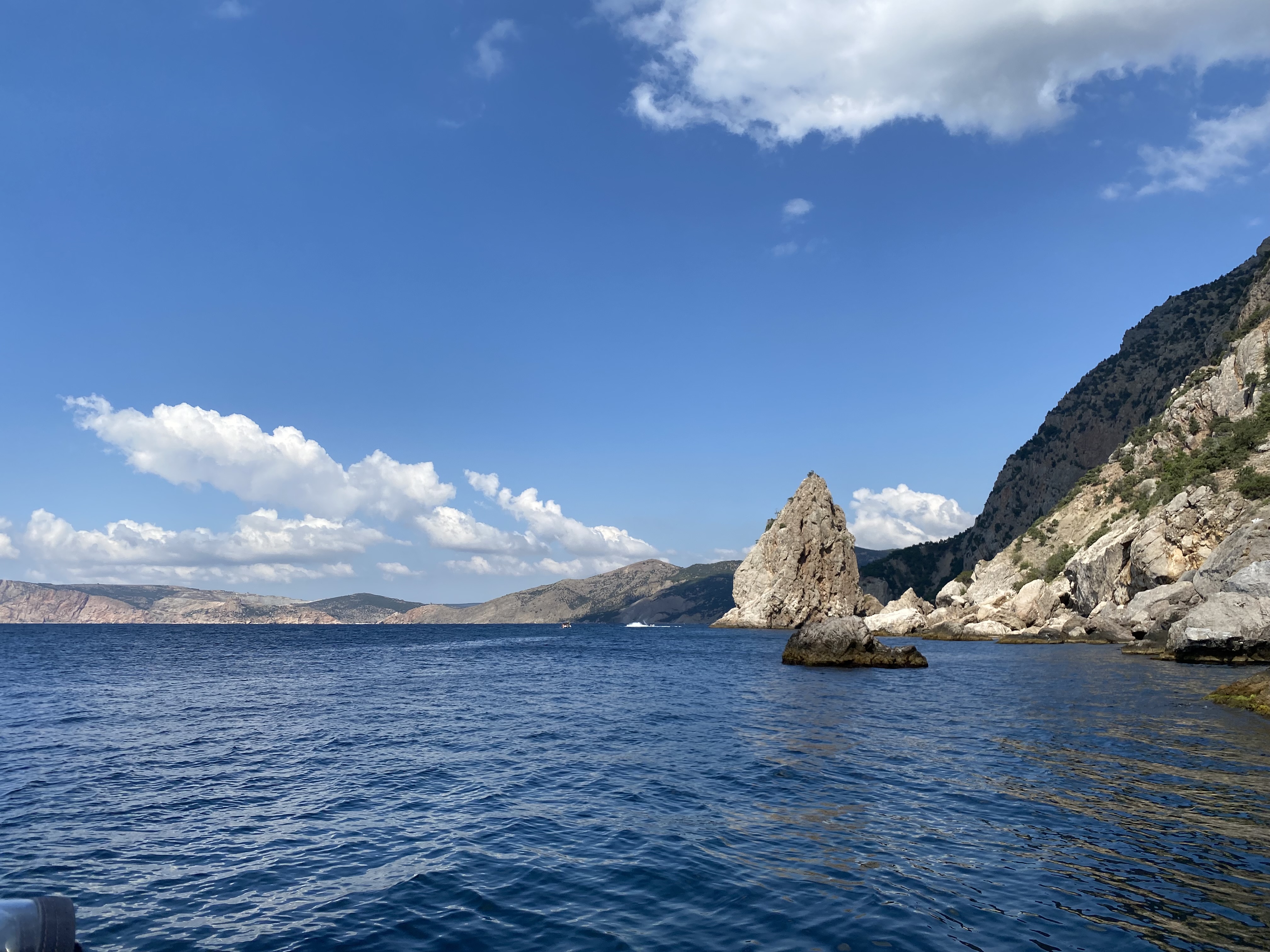 Декоративное изображение