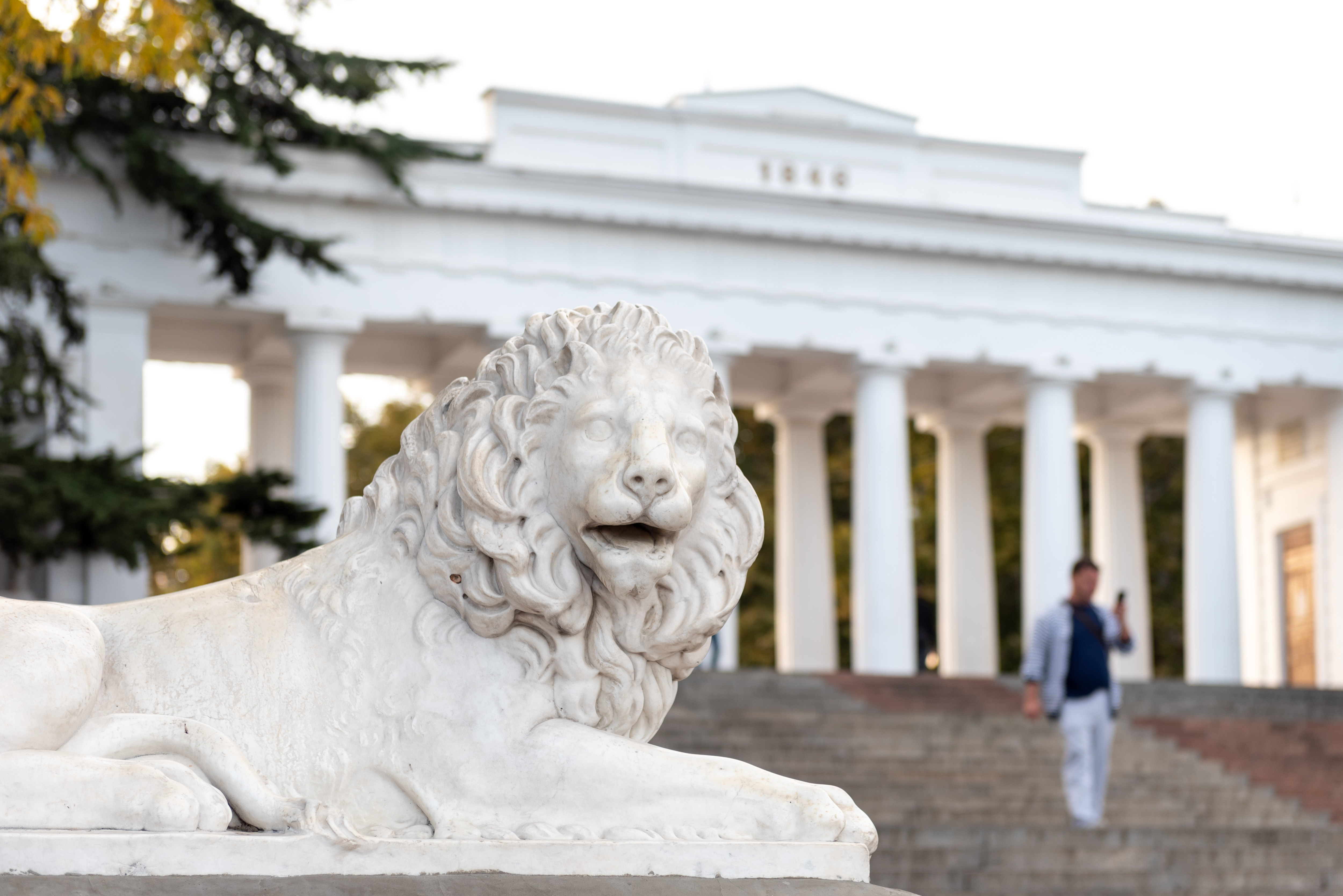 Декоративное изображение