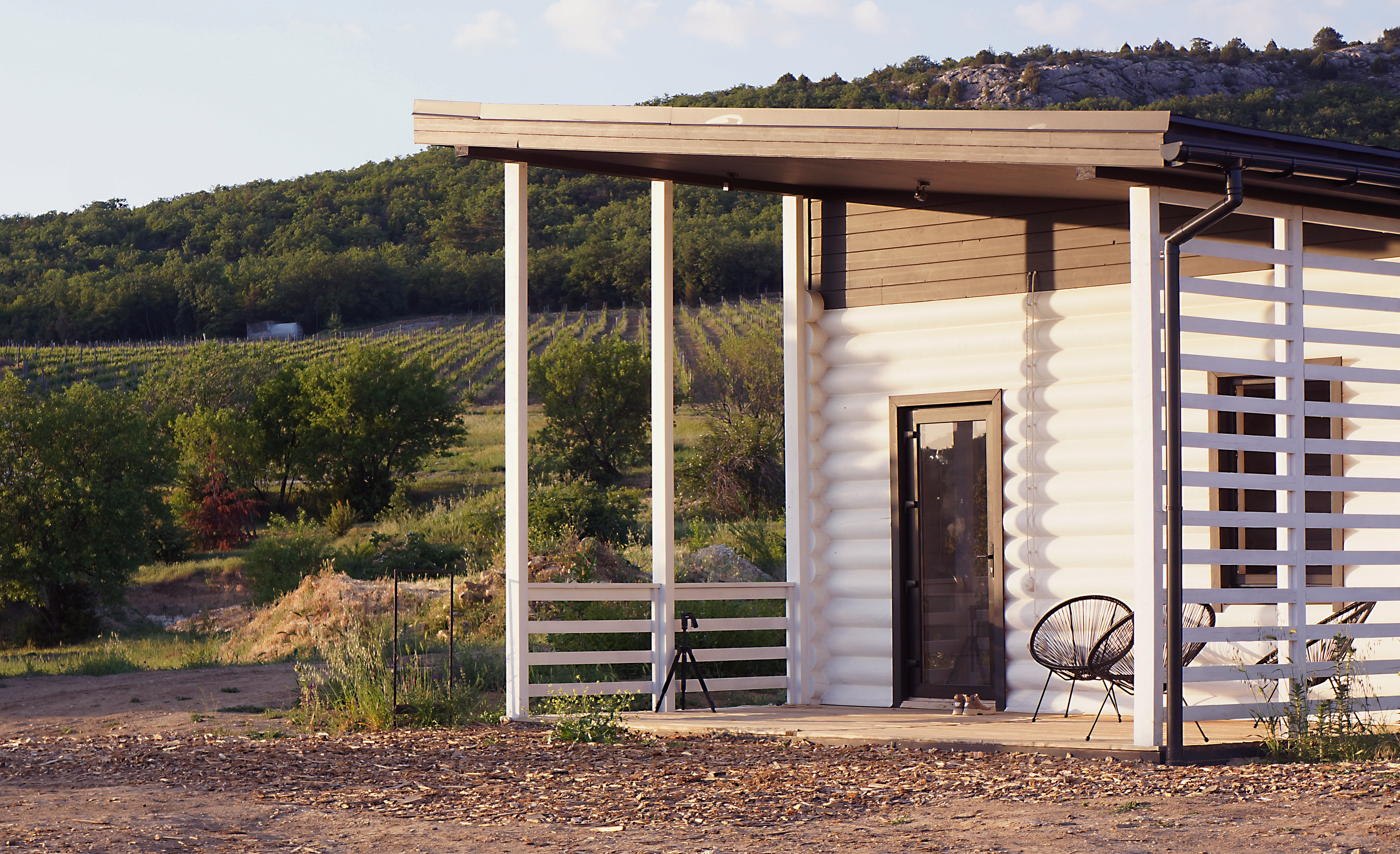 Декоративное изображение