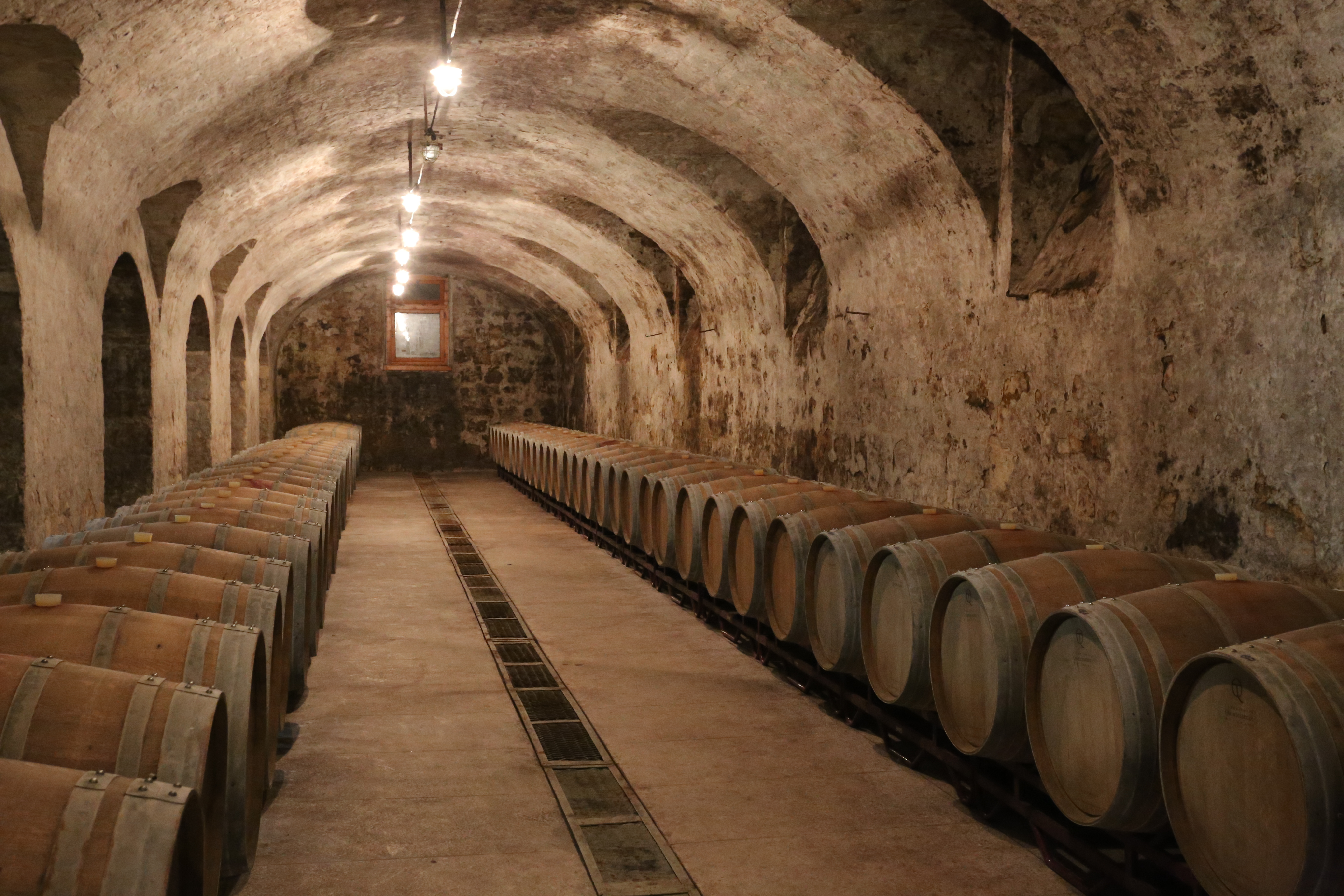 Декоративное изображение