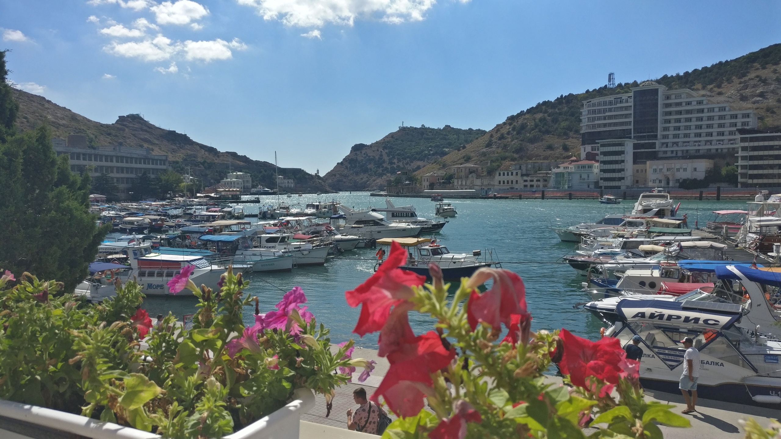 Декоративное изображение