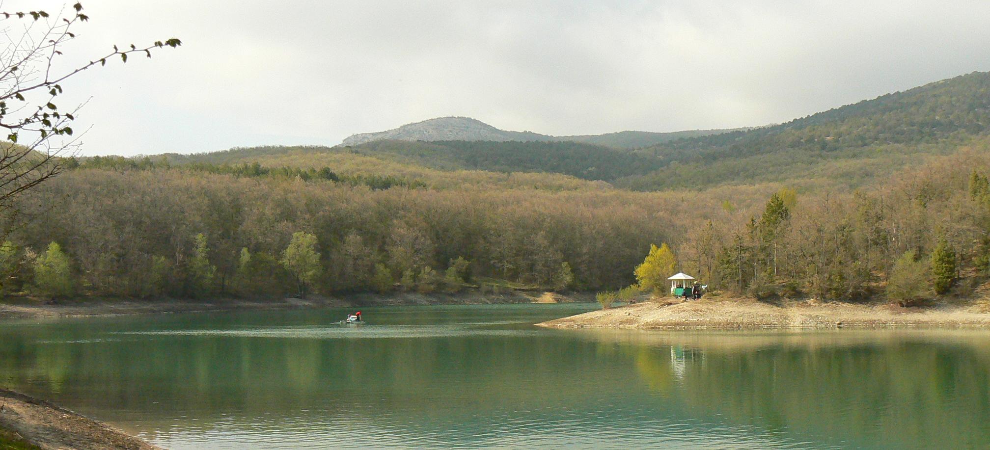 Декоративное изображение