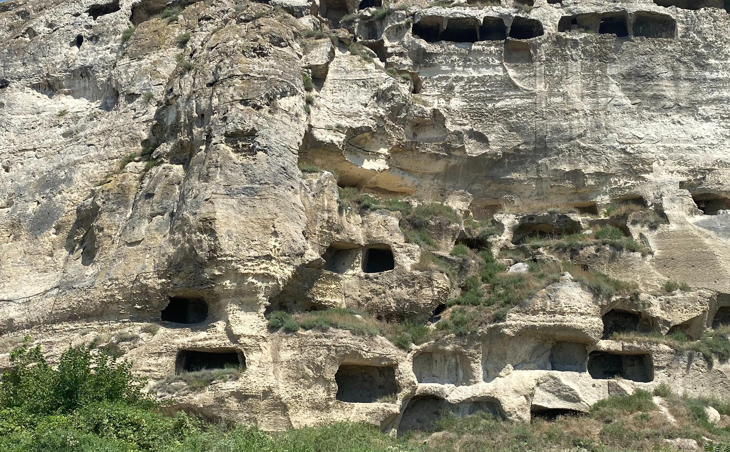 Декоративное изображение