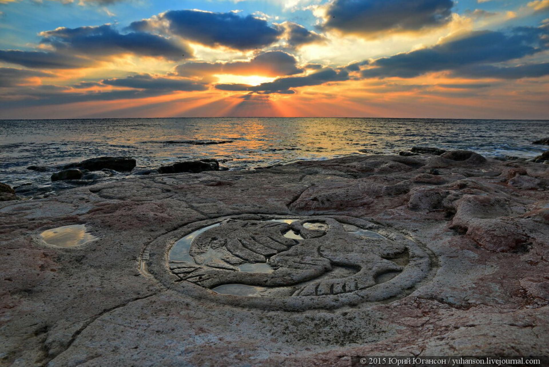 Декоративное изображение