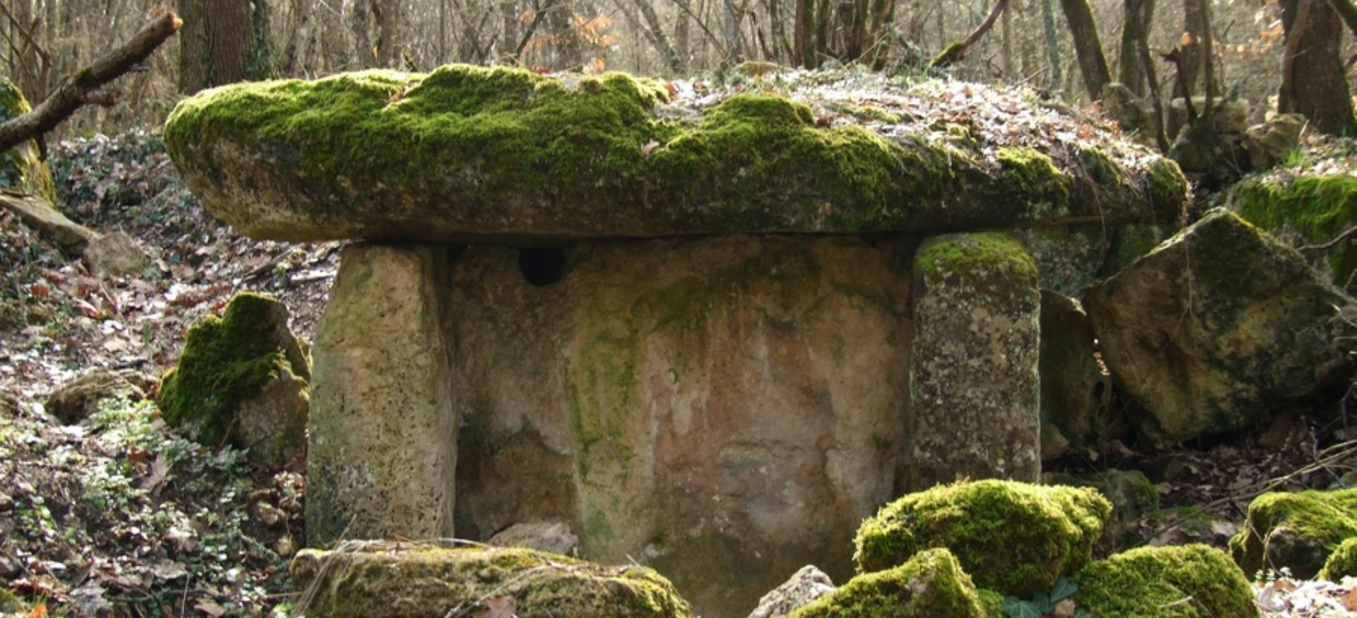 Декоративное изображение