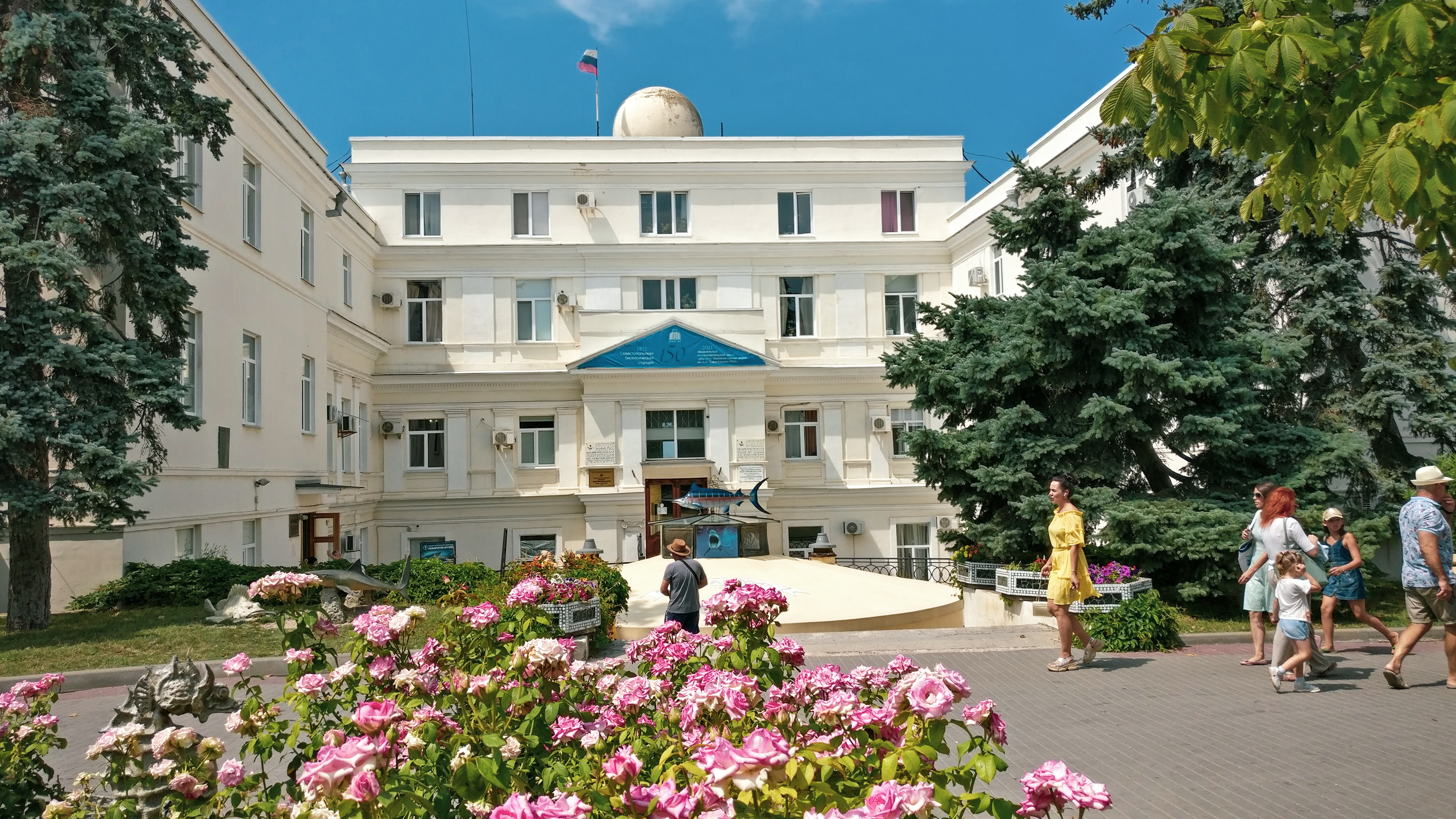 Декоративное изображение