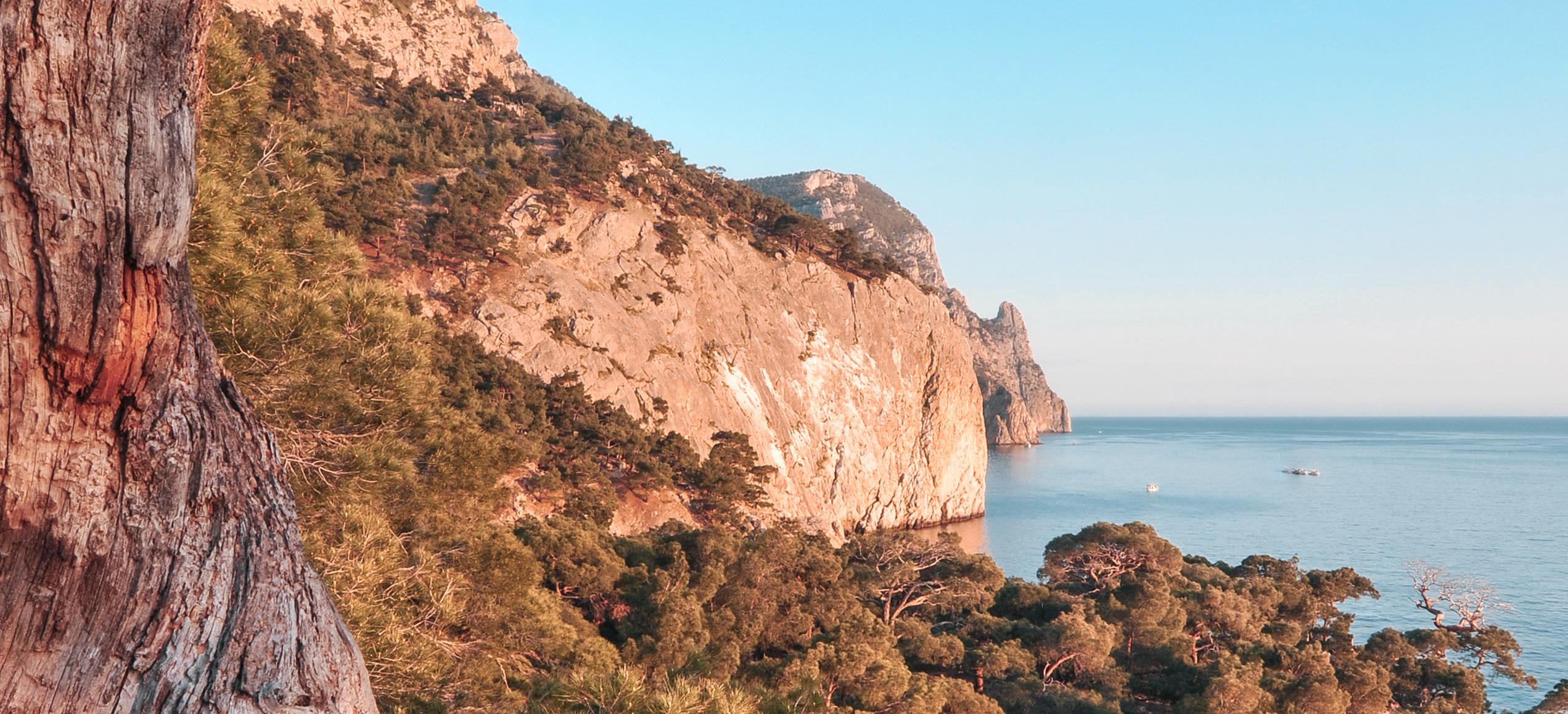 Декоративное изображение