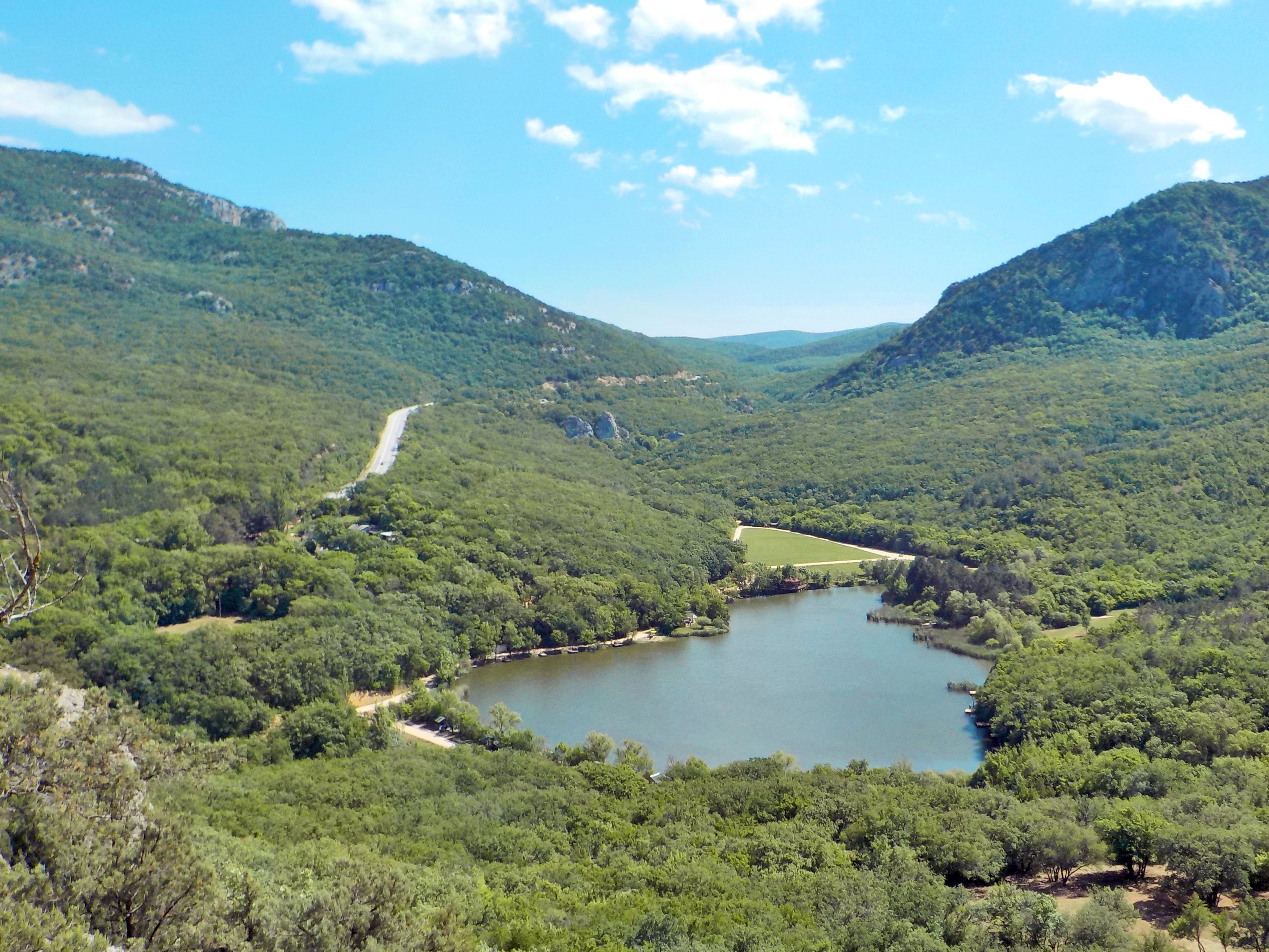 Декоративное изображение